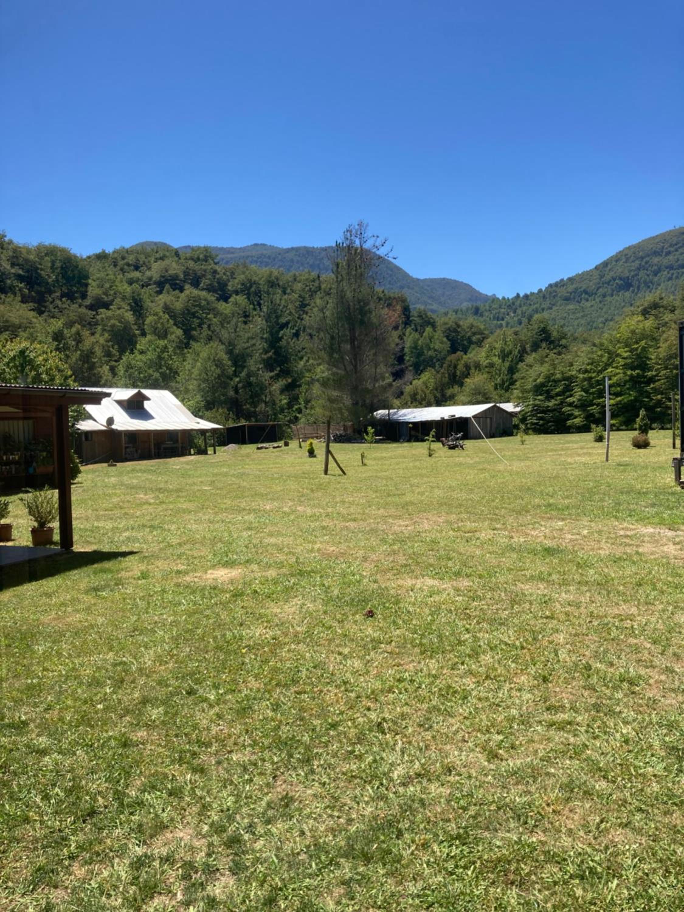 Los arrayanes de huife pucon