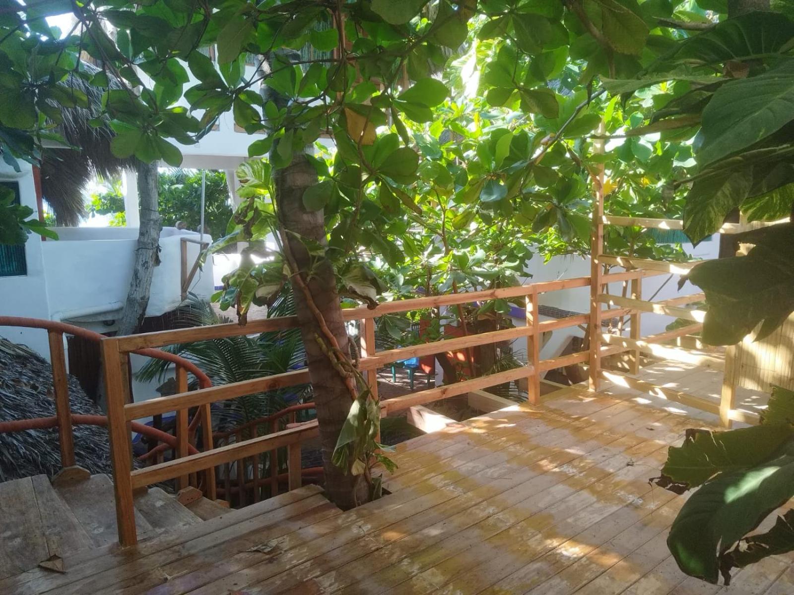 Bambú Ecocabañas