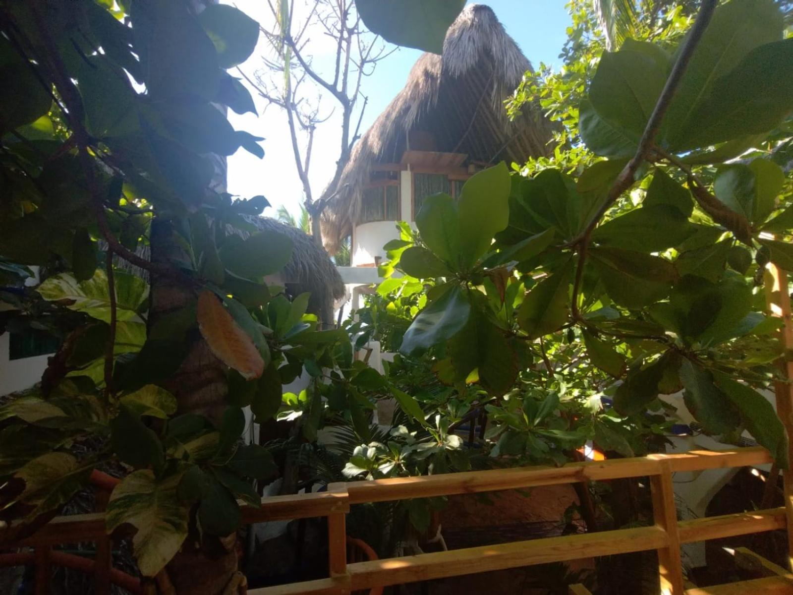 Bambú Ecocabañas
