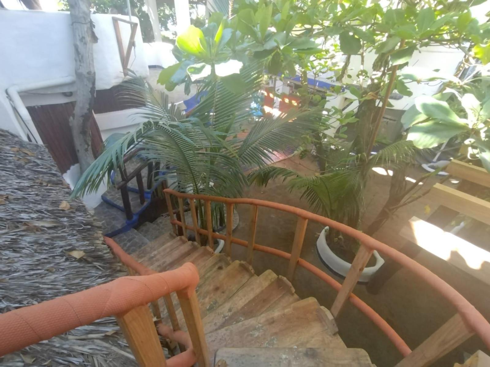Bambú Ecocabañas