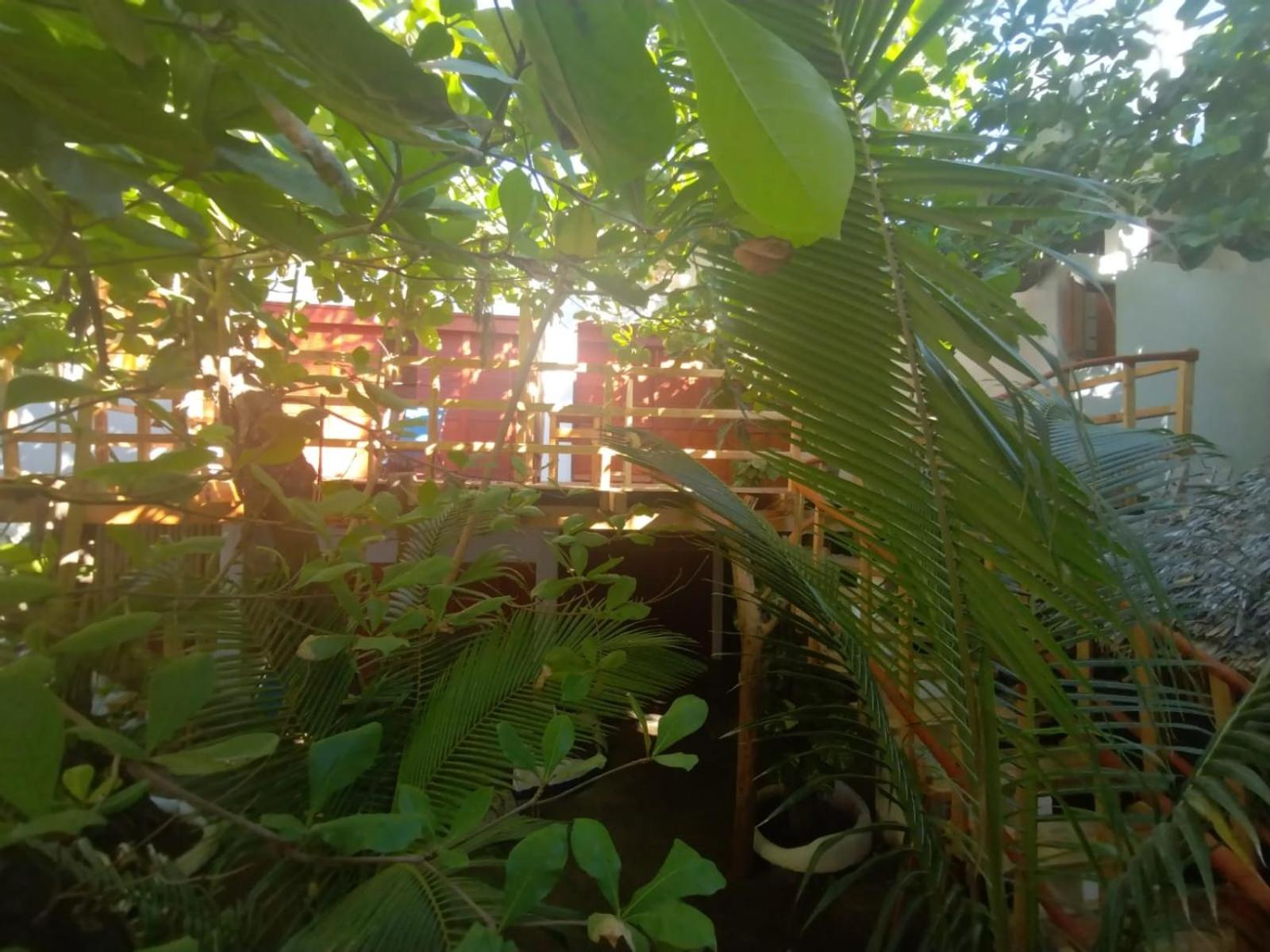 Bambú Ecocabañas