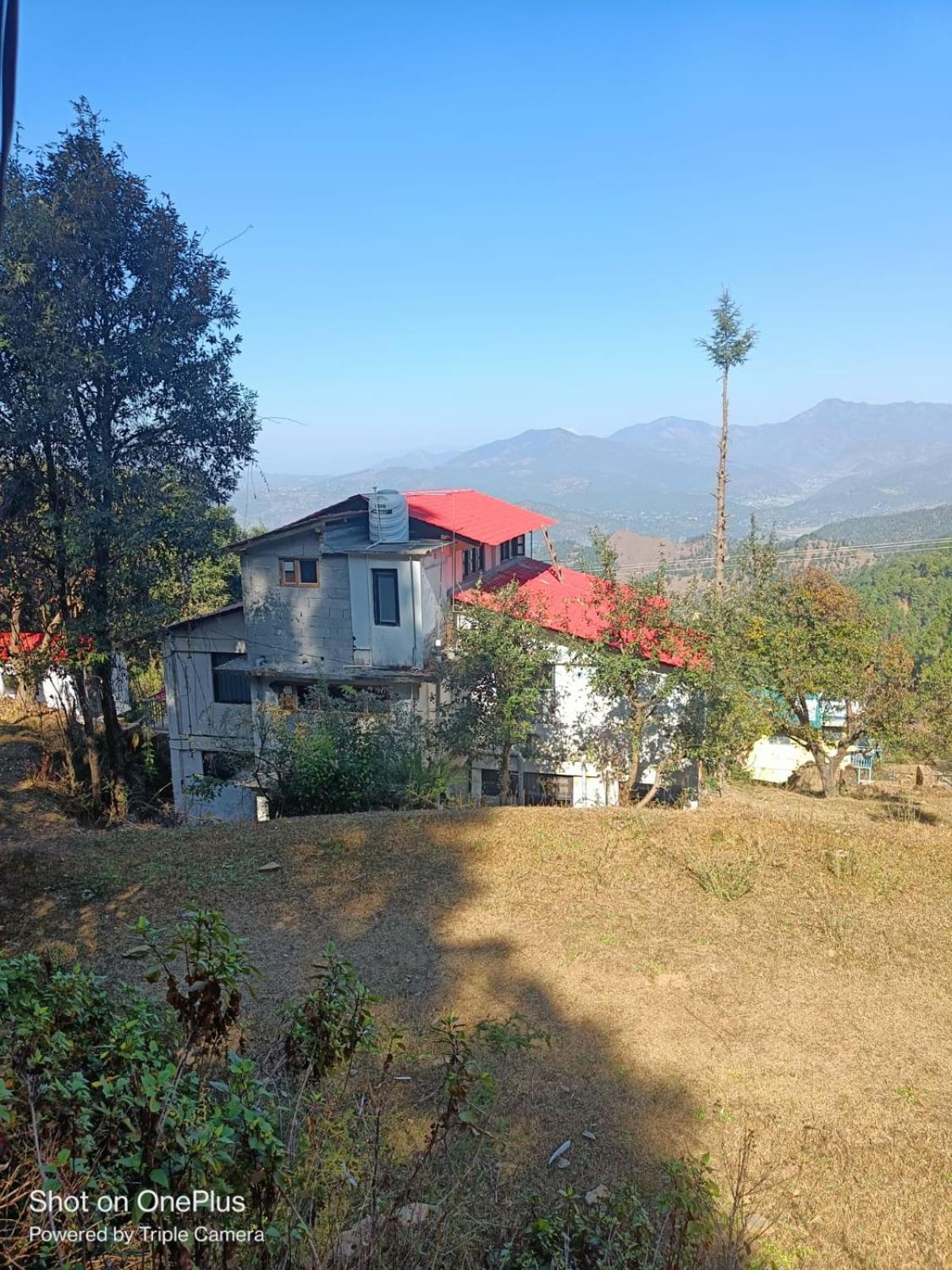 Whispering Deodar Heaven