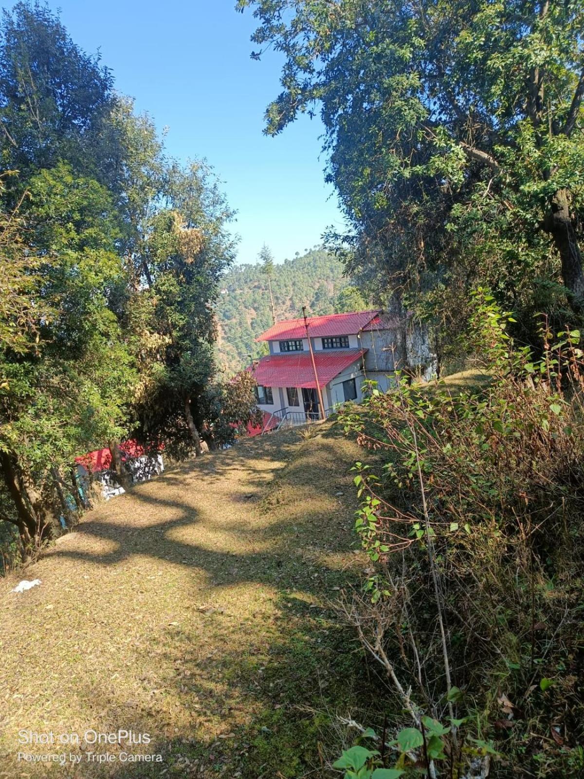 Whispering Deodar Heaven