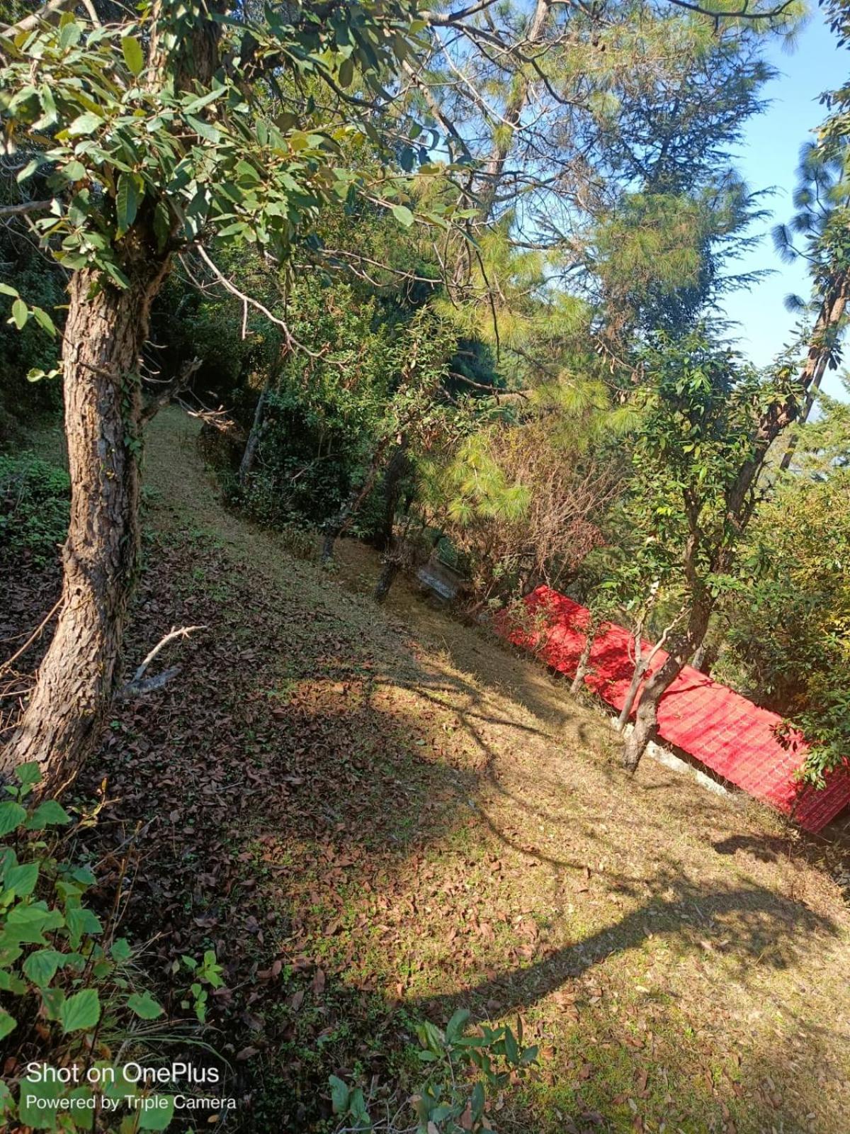 Whispering Deodar Heaven
