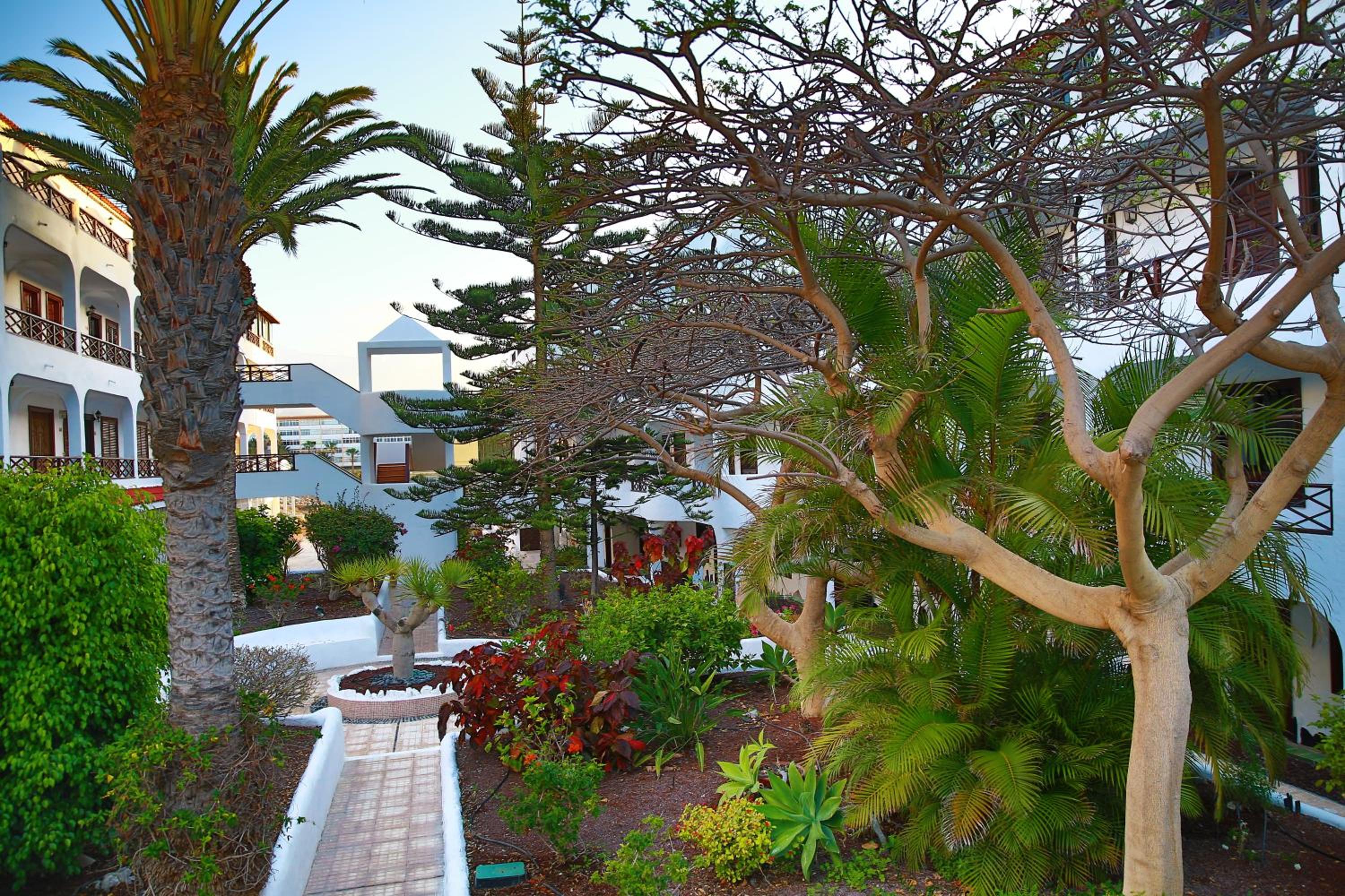 Costa del Silencio Apartment