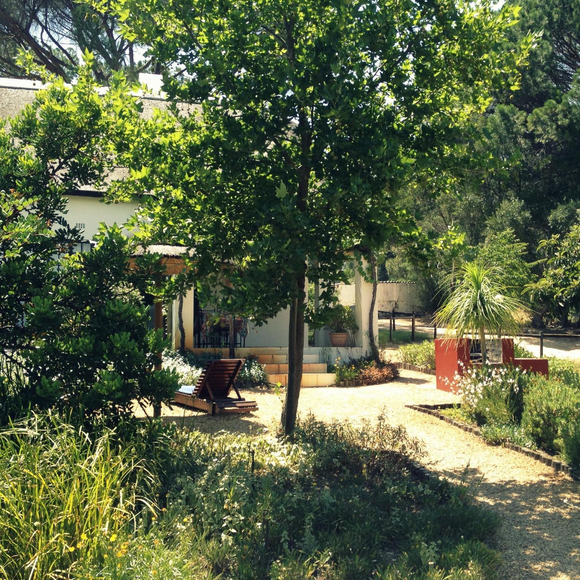 Photo 40