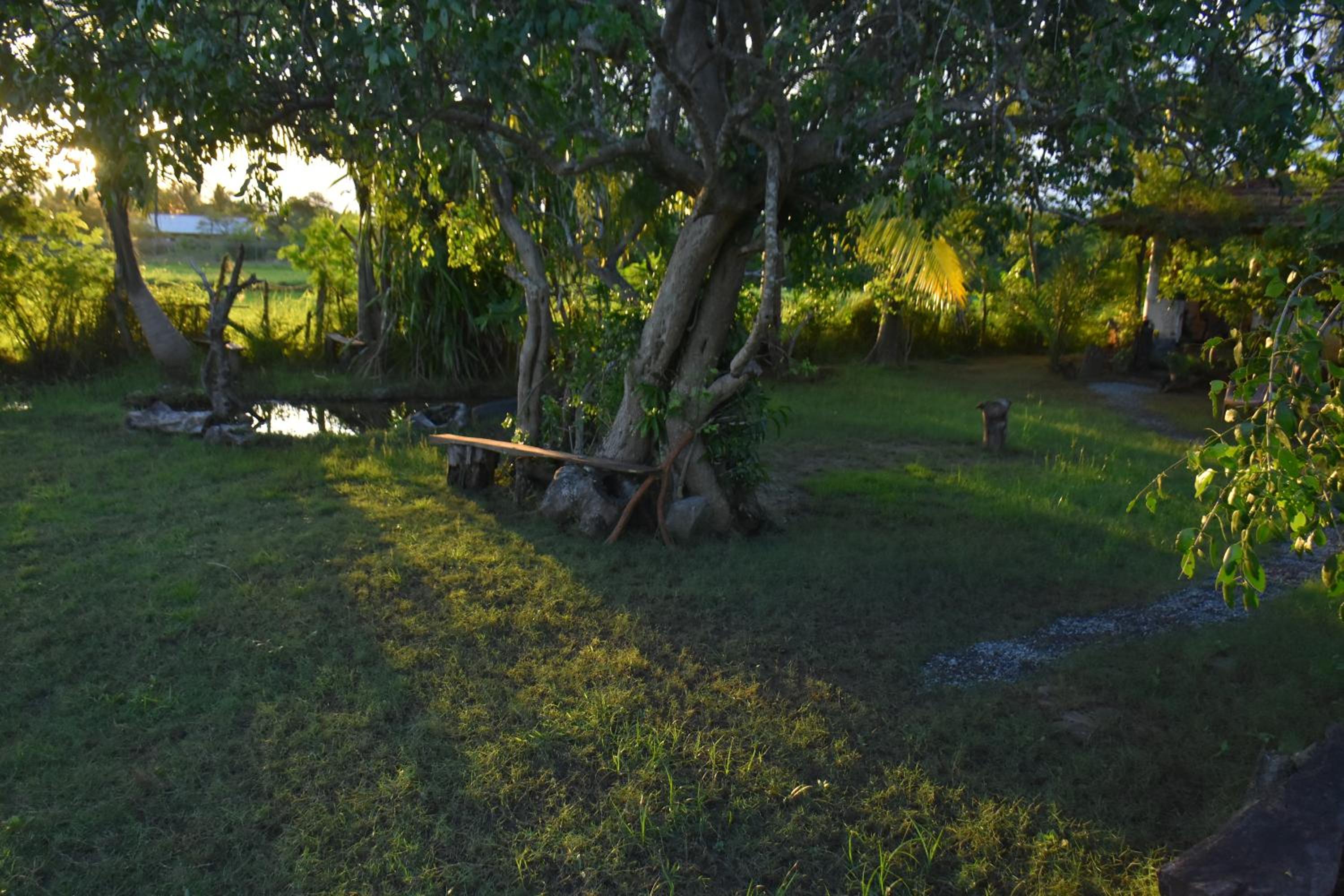 Photo 41