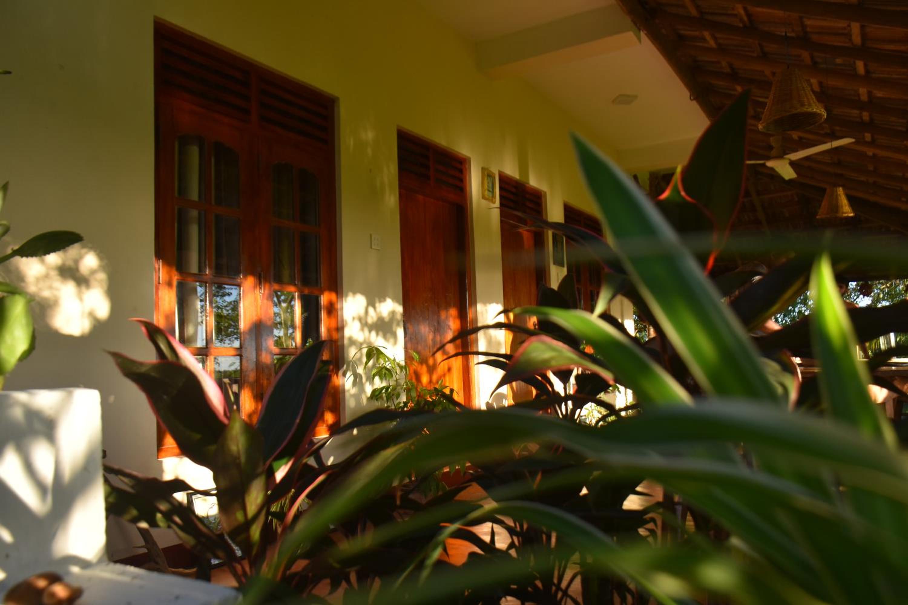 Rice Cabanas Yala view 4