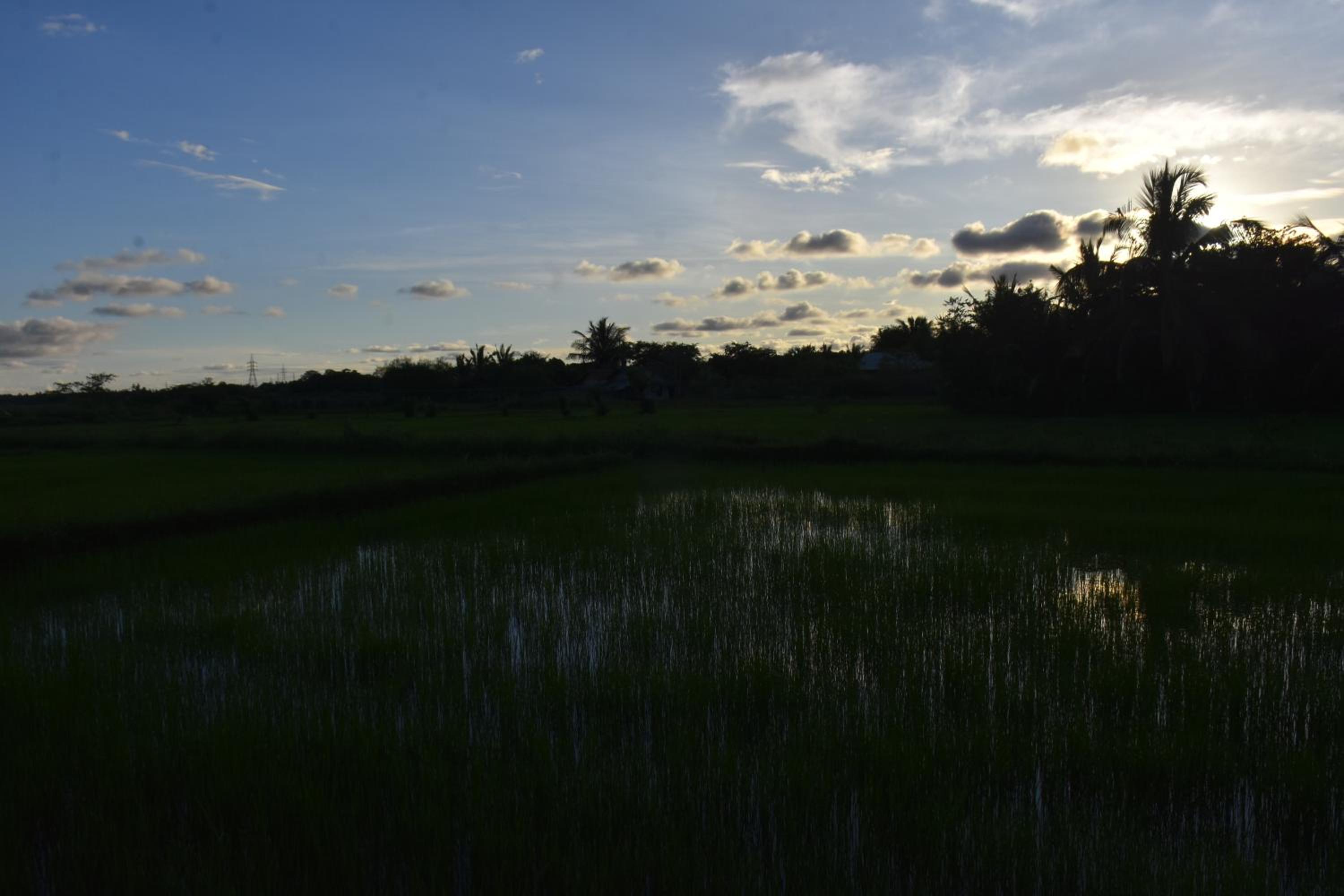 Rice Cabanas Yala view 2