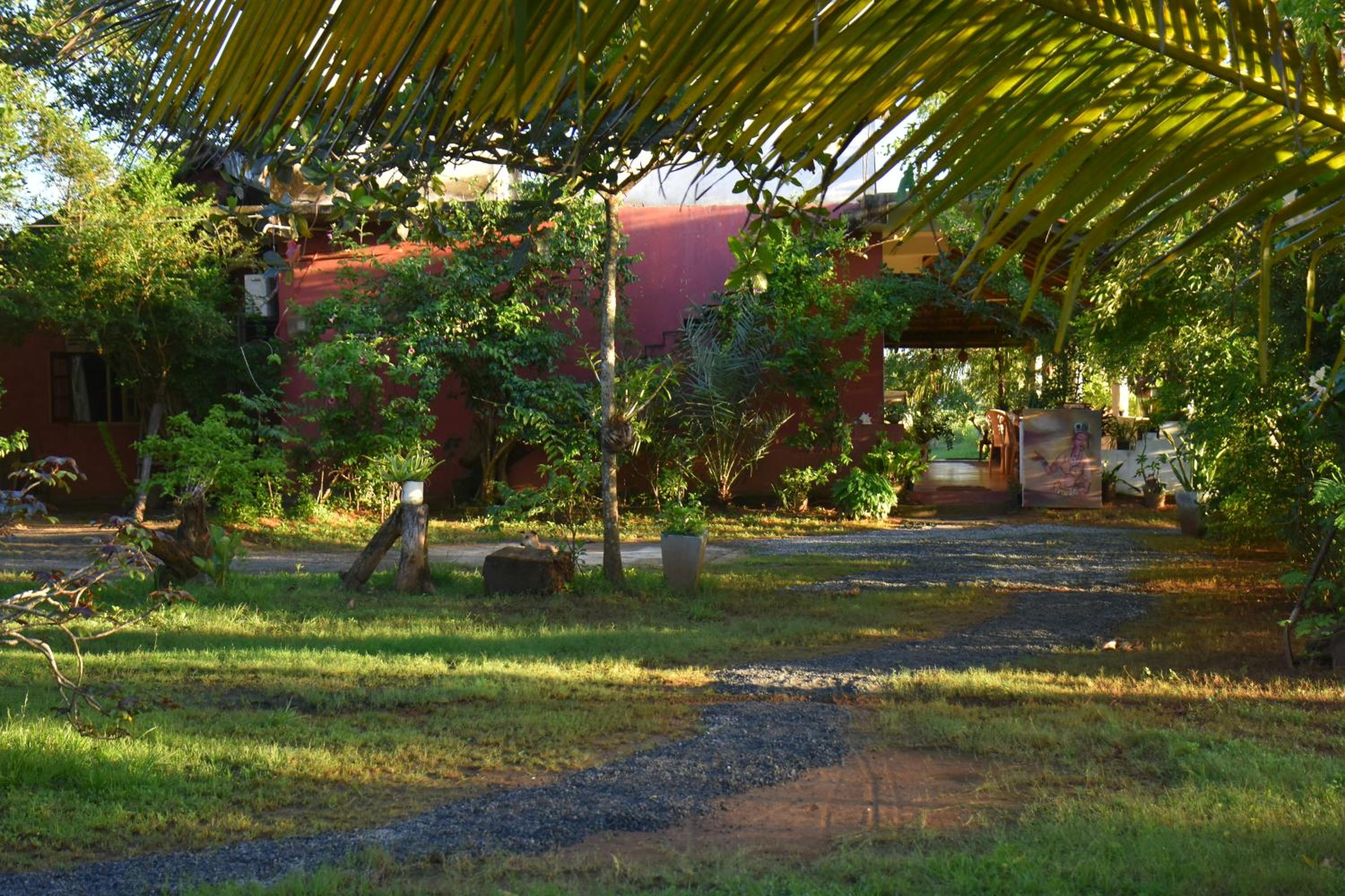Rice Cabanas Yala view 5
