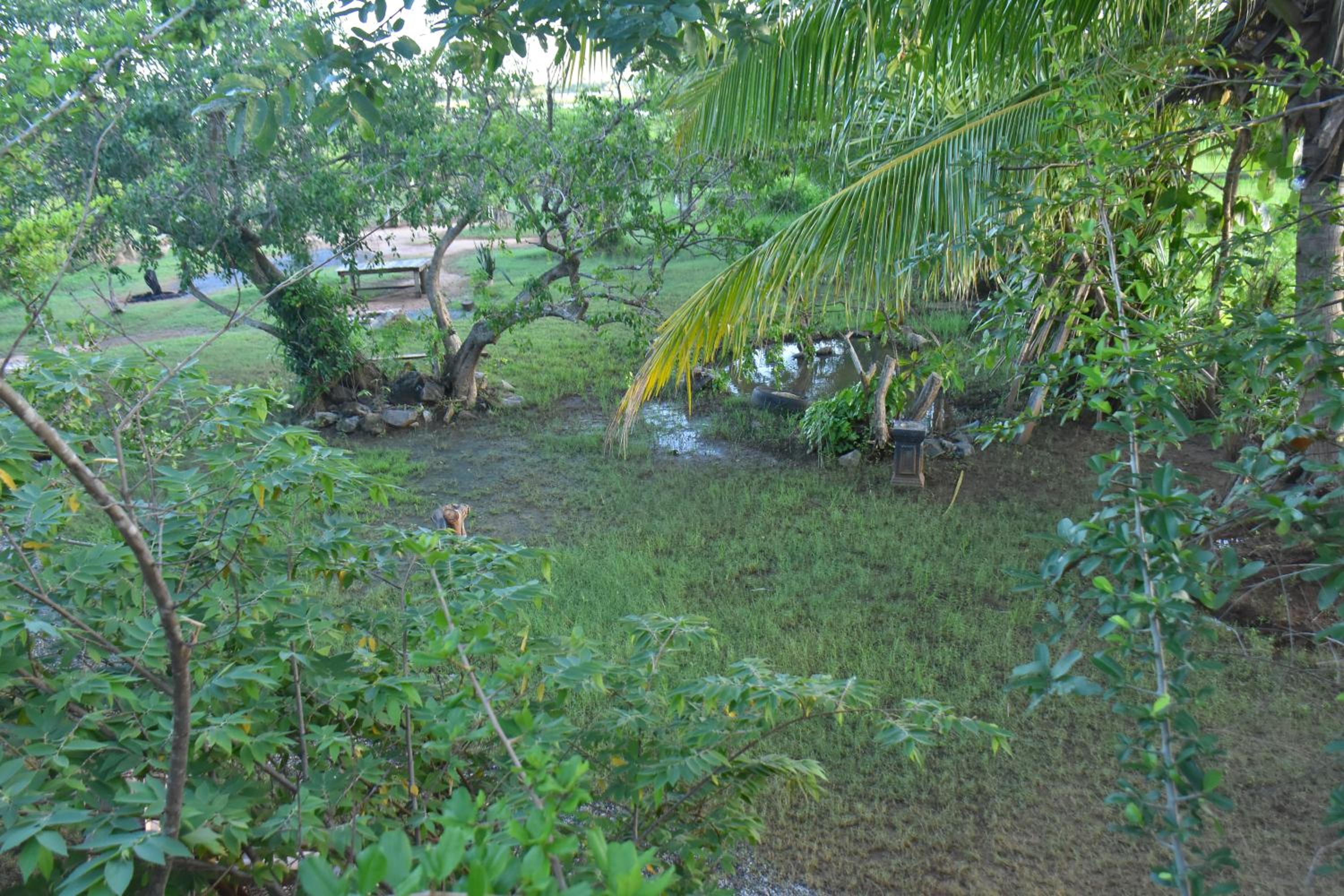 Photo 6