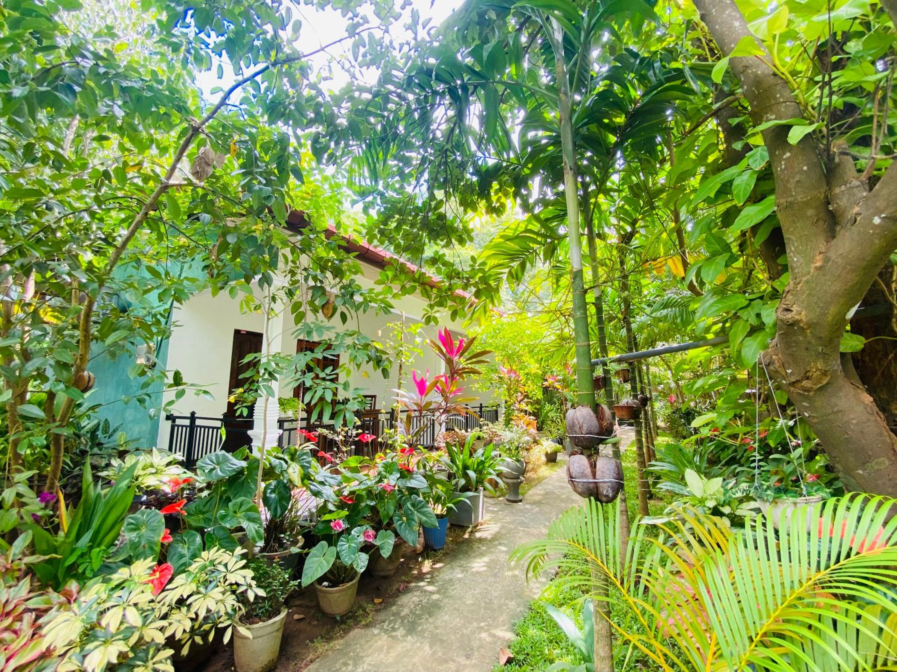 Priyavimana resort view 5