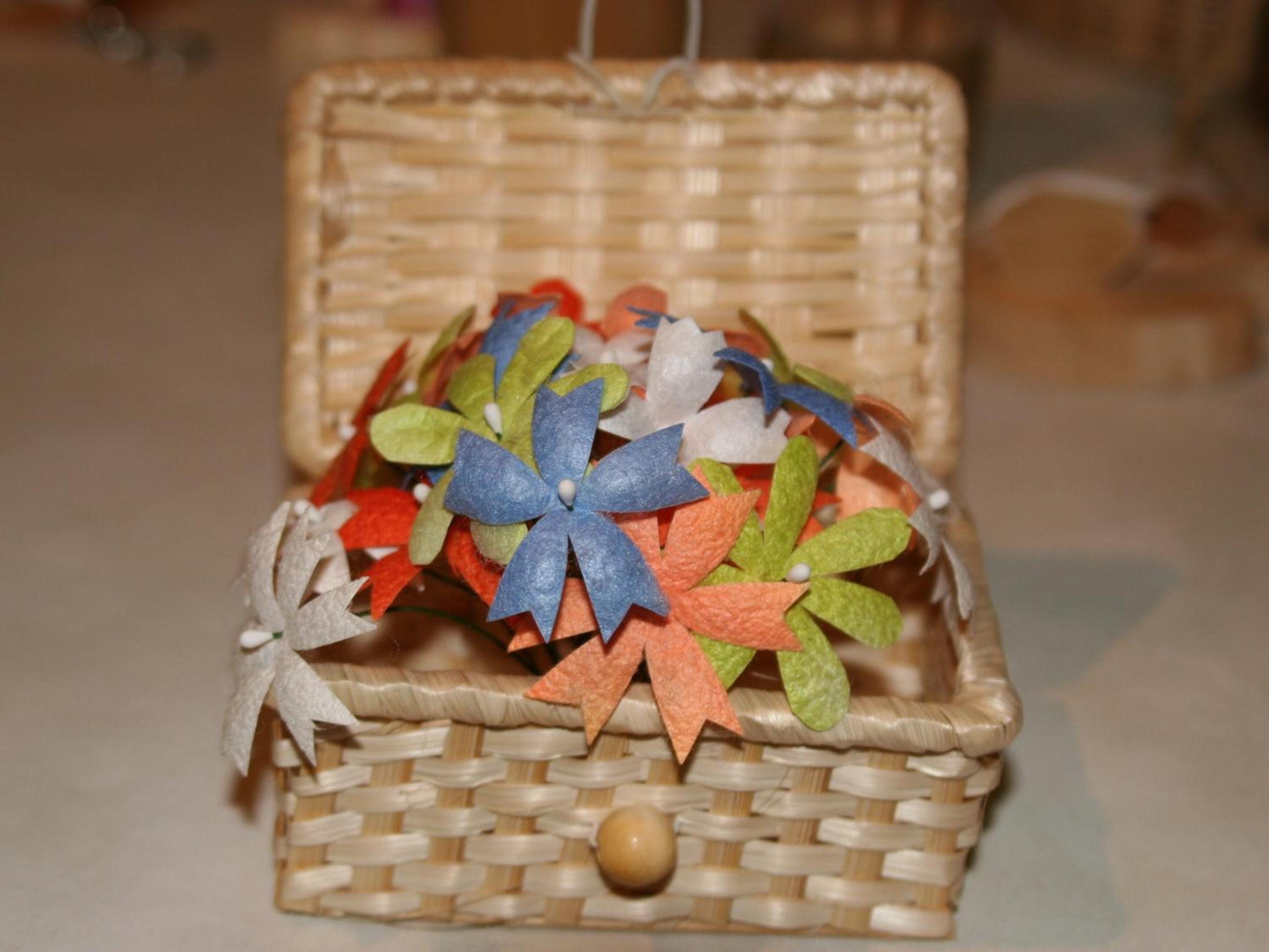 Photo 42