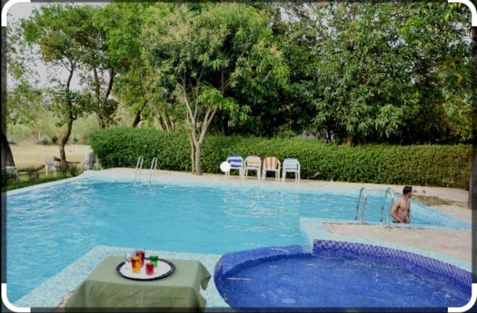 Maya The Forest Resort view 4