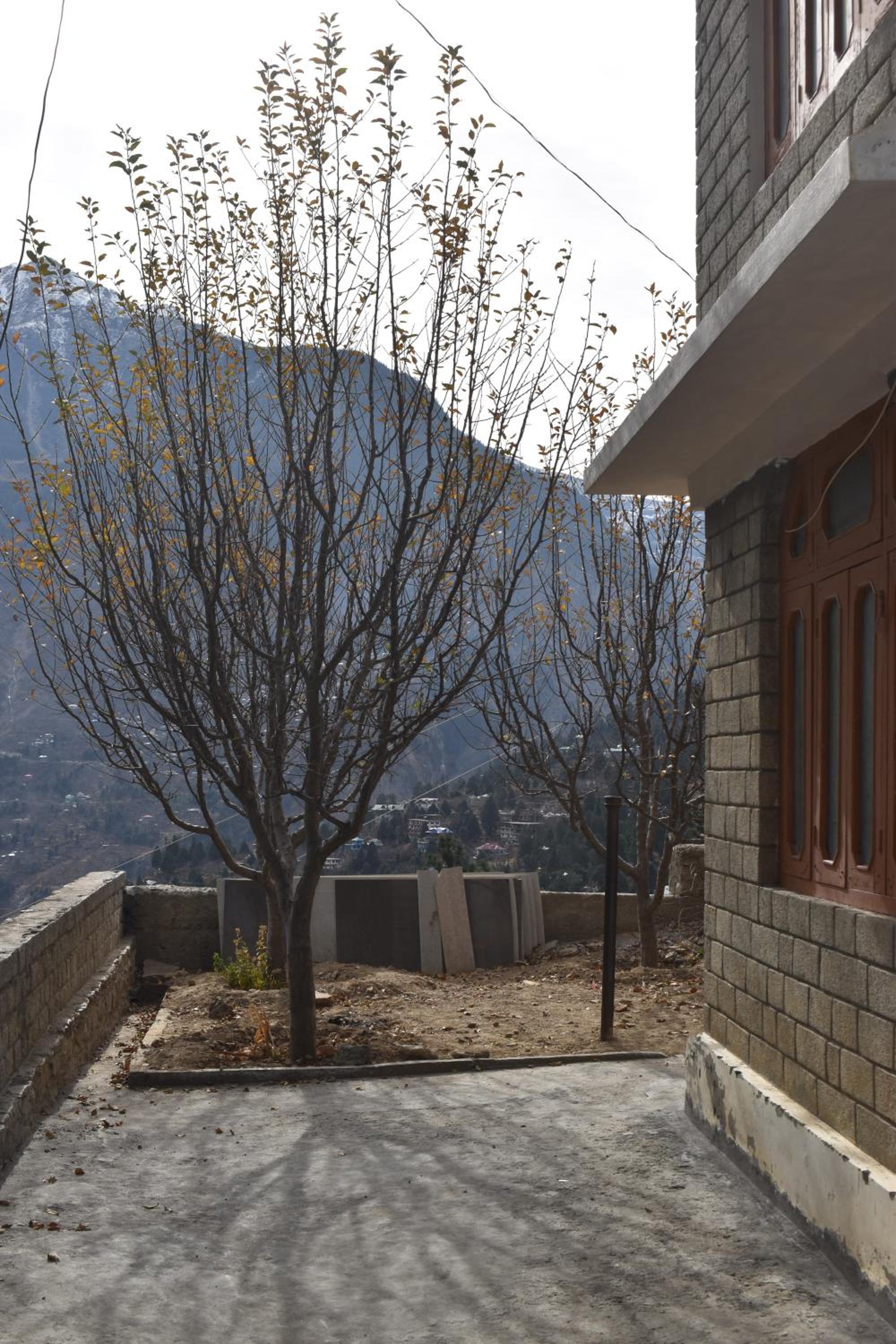 Sonam Homestay Reckong Peo view 3