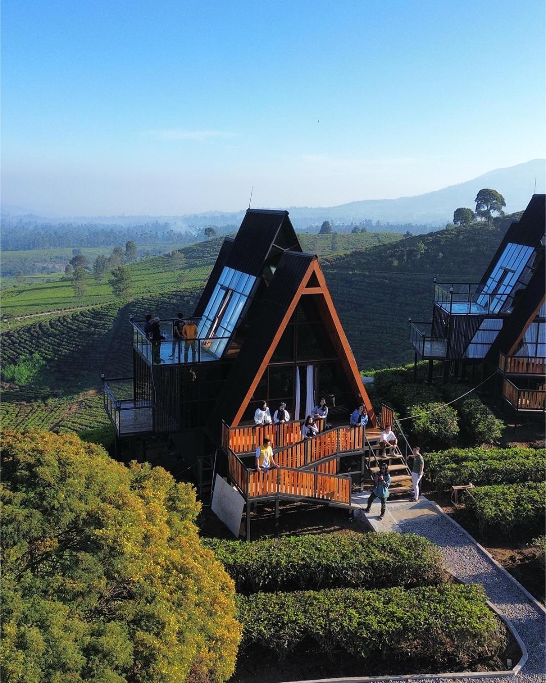 Nimo Tea Resort view 4