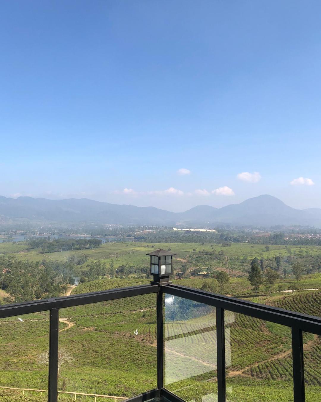 Nimo Tea Resort view 5