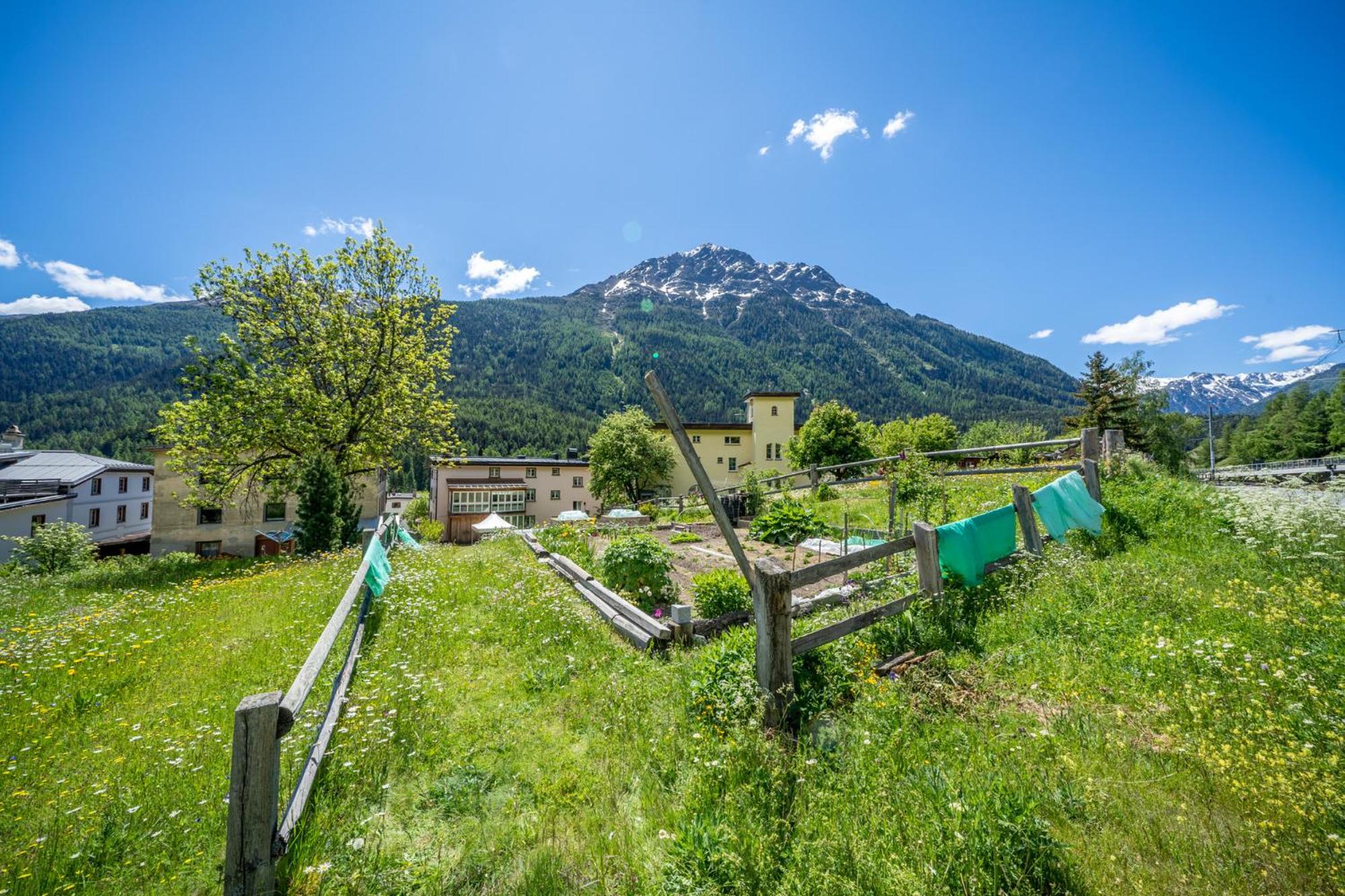 Photo 20