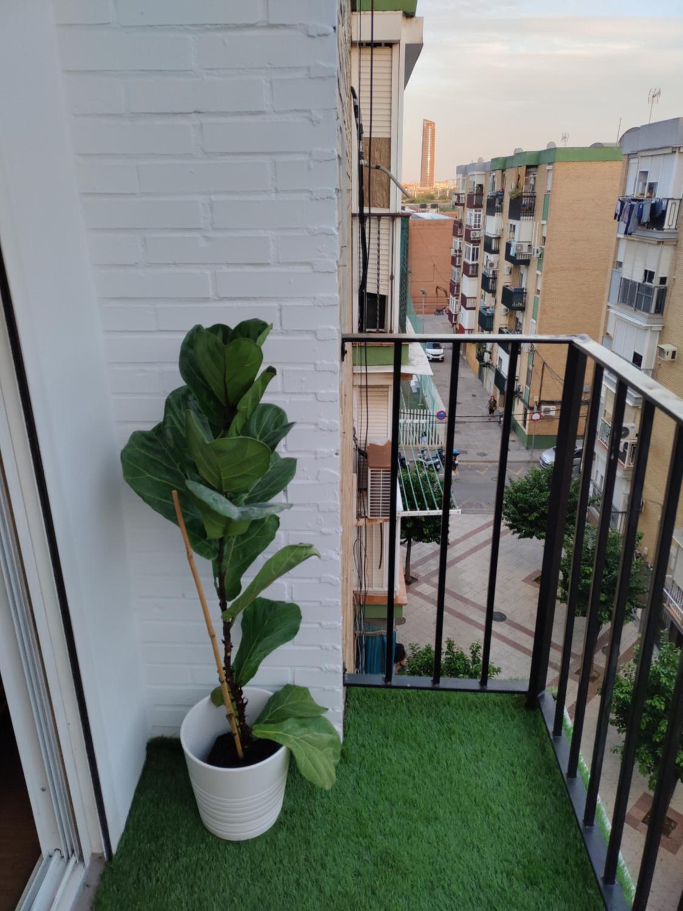Oasis-Triana's Hallway