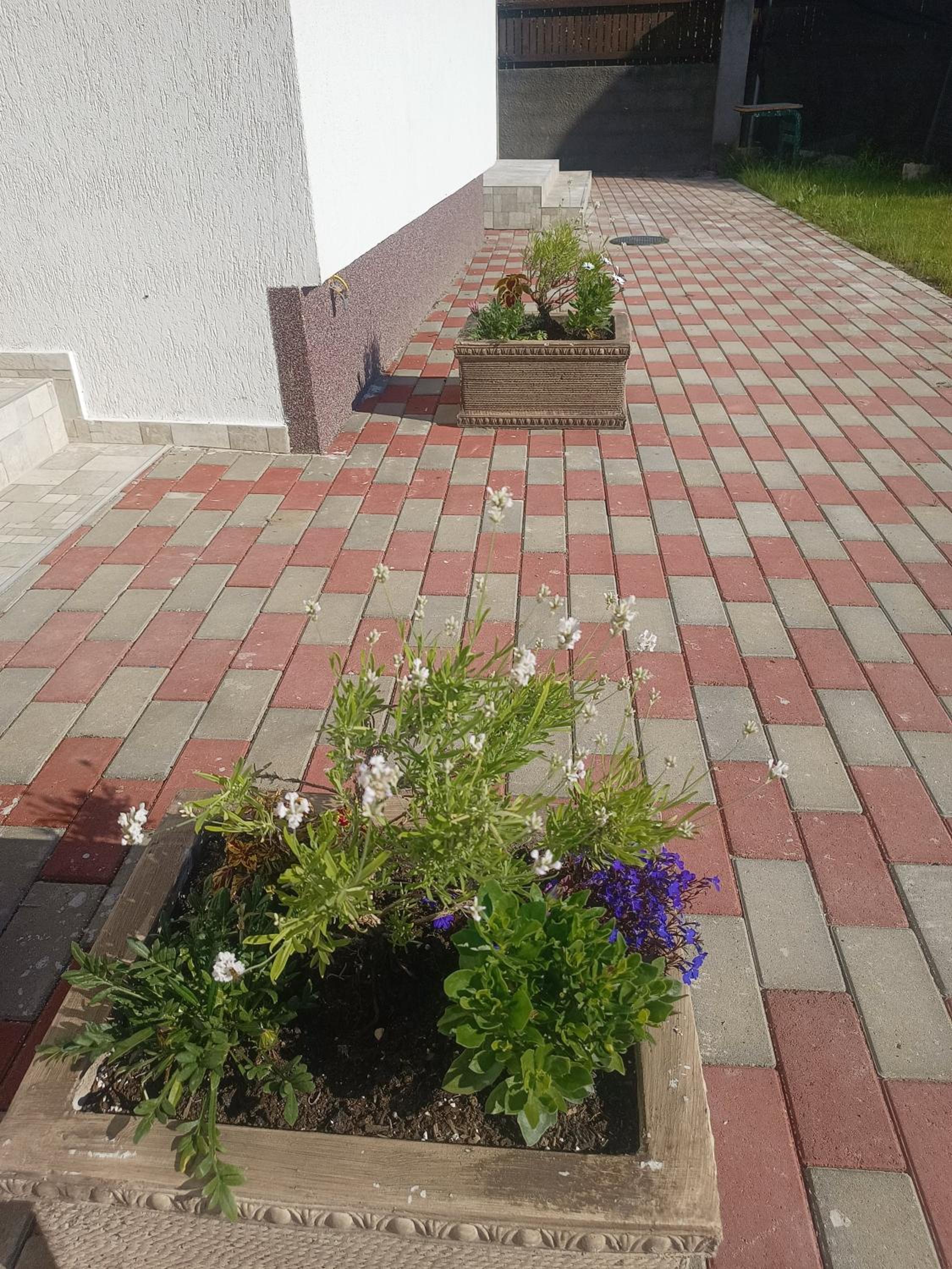 MONADIN Villa Relax & Spa view 3