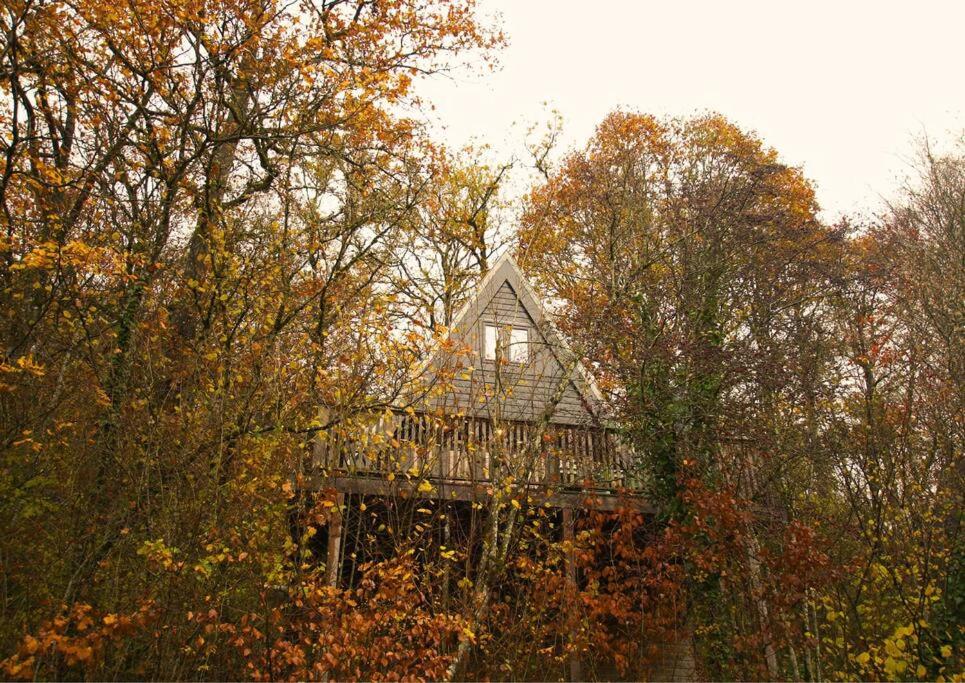 Het mooiste vakantiehuisje in Durbuy
