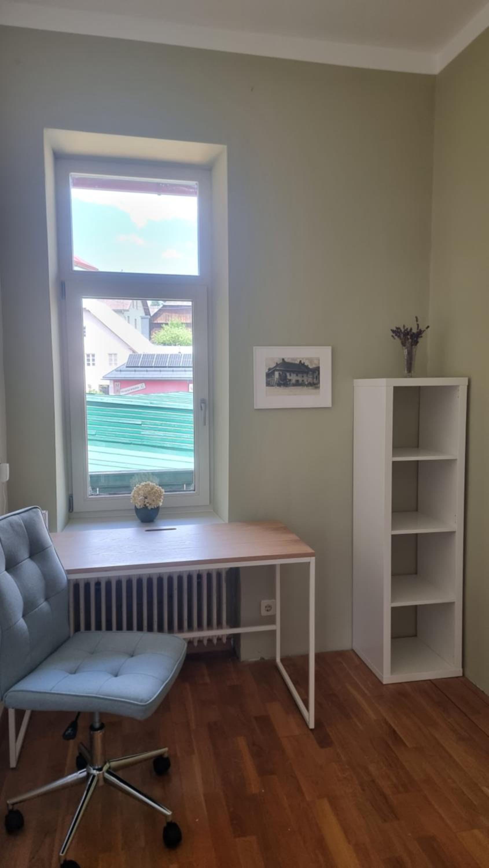 Apartment Hans - Wohnen im Herzen des Drautales