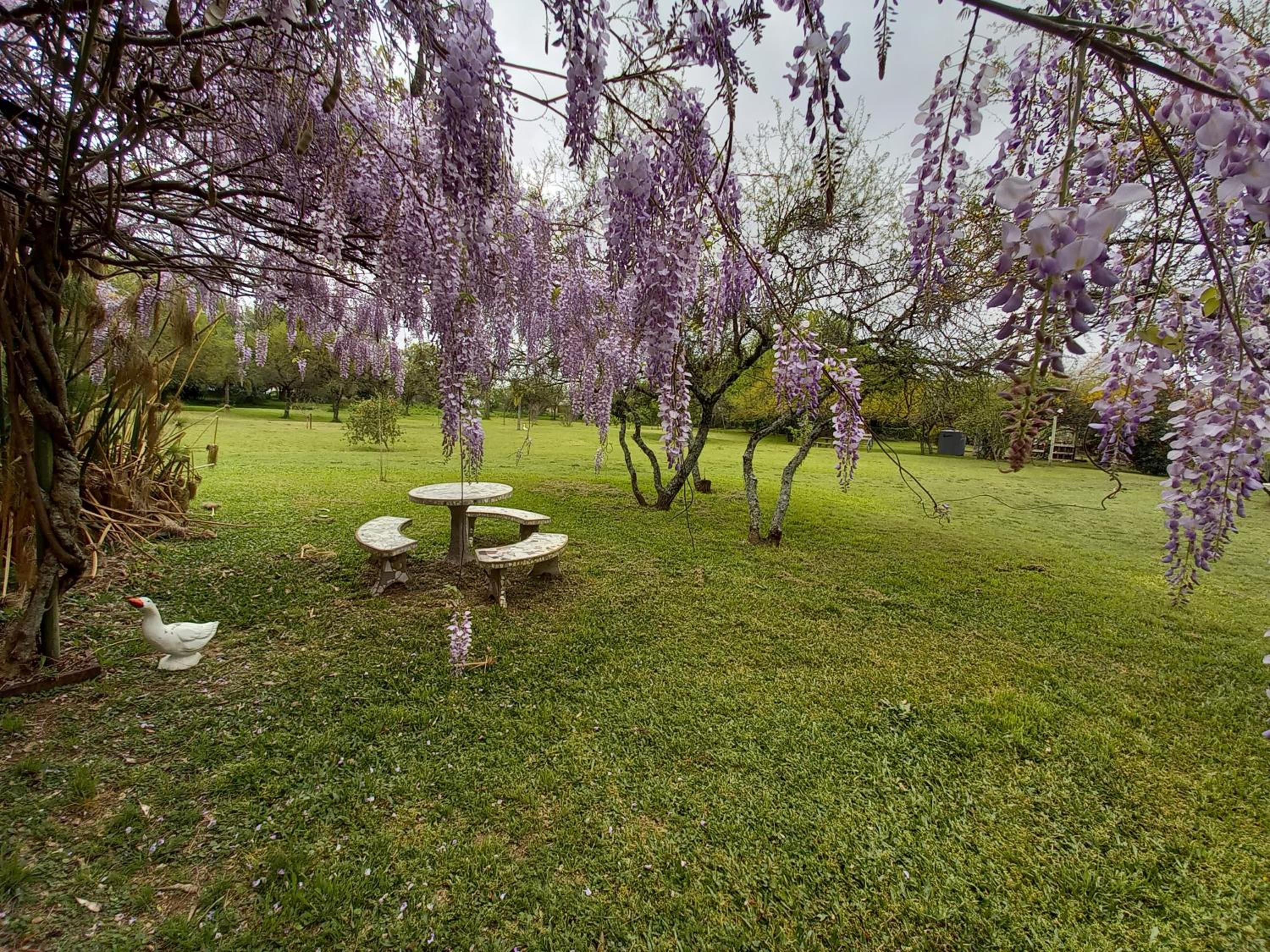 La Rosa del Azafrán - Alojamiento Rural - Ranchos de Vacaciones en Entre Ríos