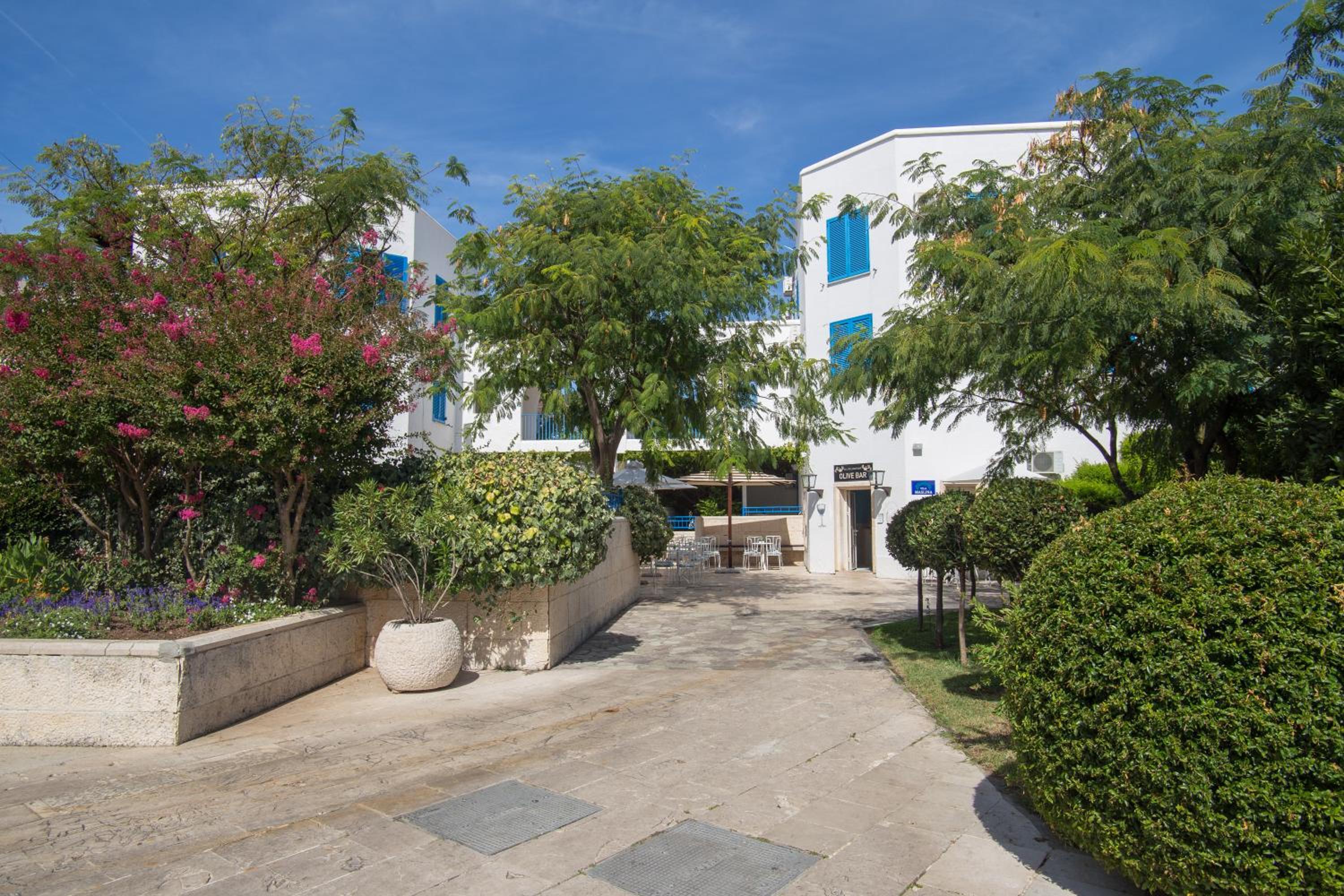 Hotel Aleksandar, photo 81