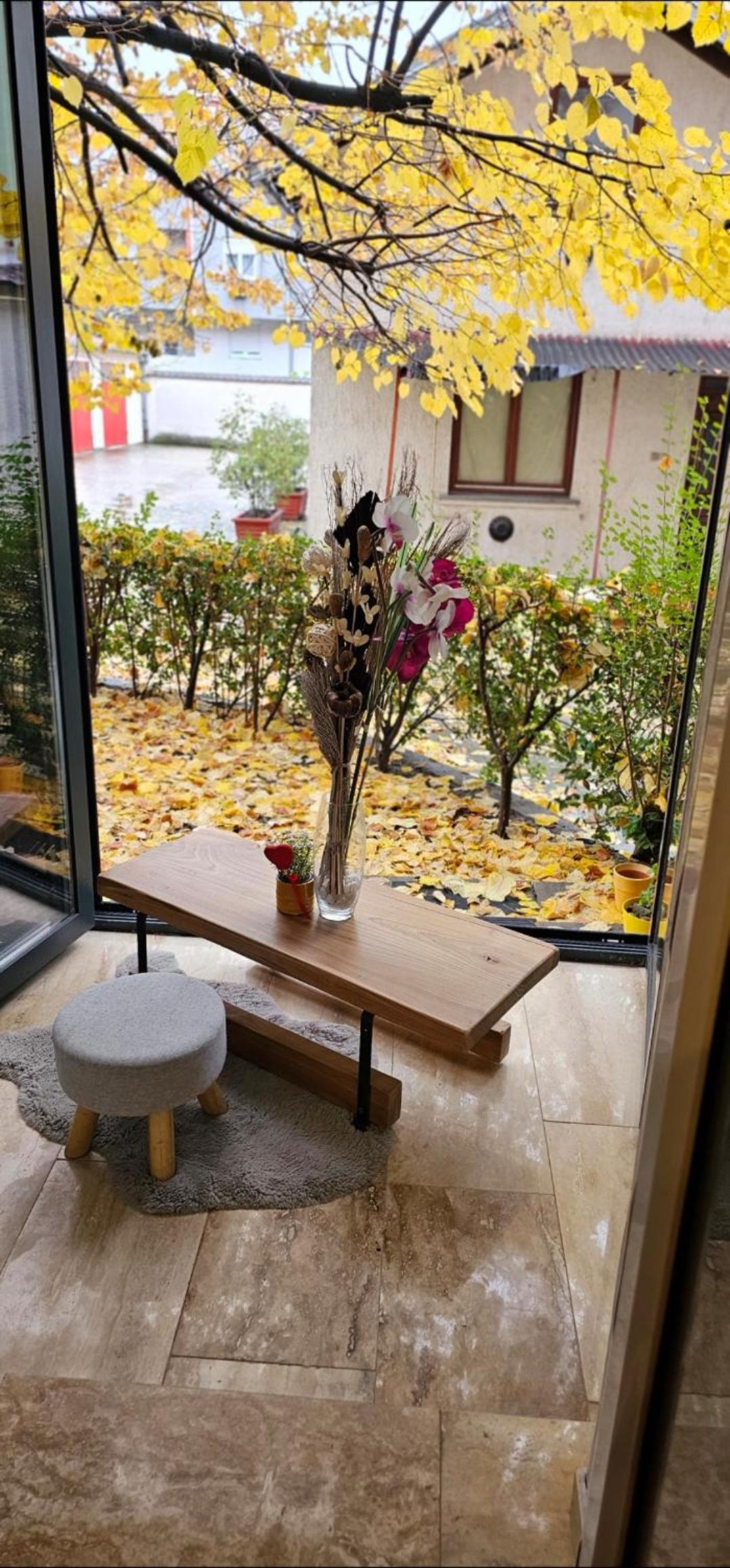 Center Lux Apartment Marijana