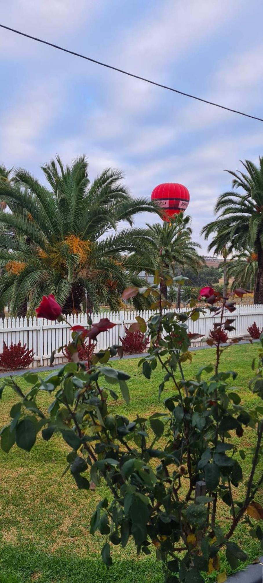 The Cottage at Seppeltsfield, Barossa Valley