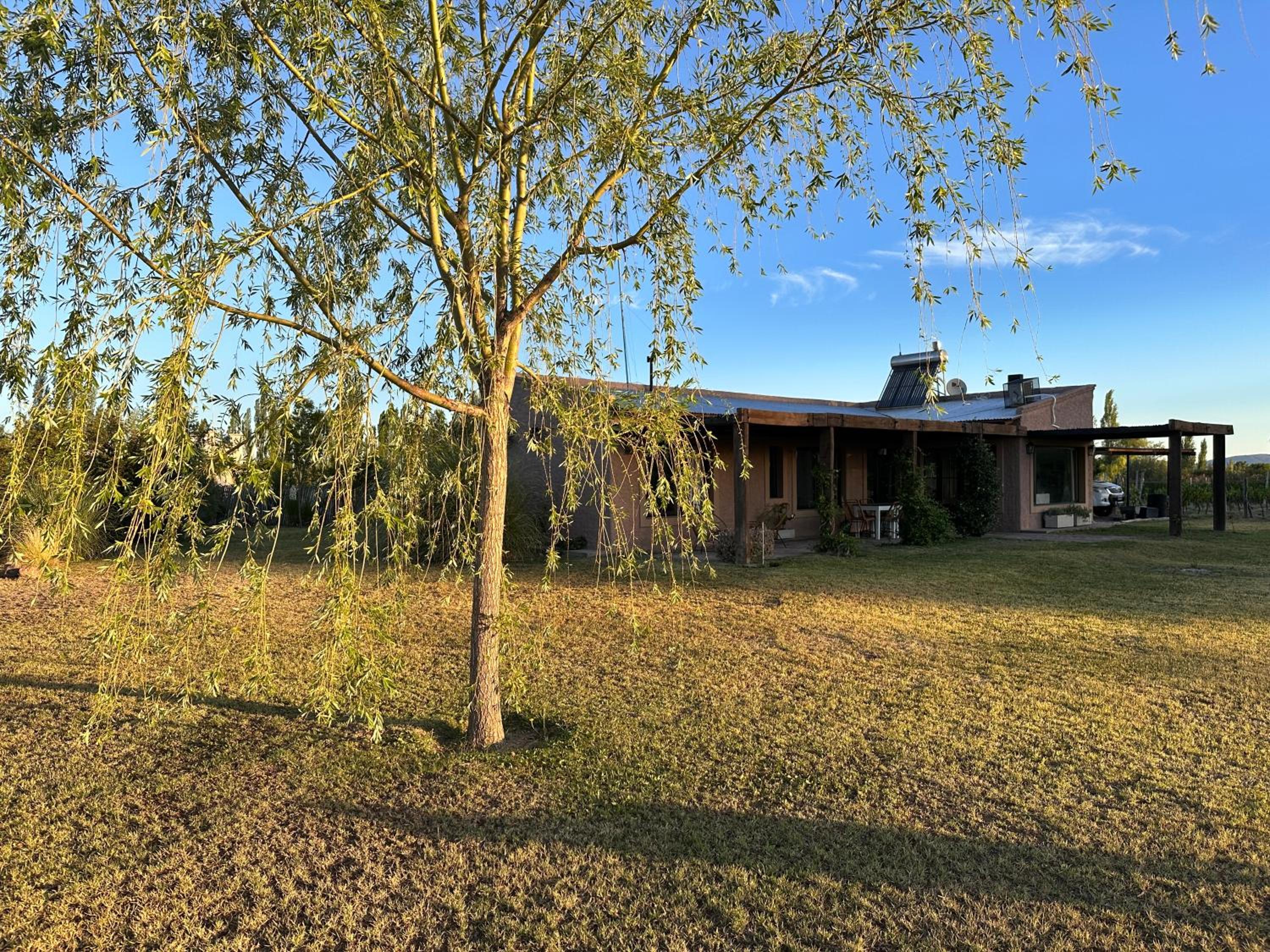 Casa entre viñas