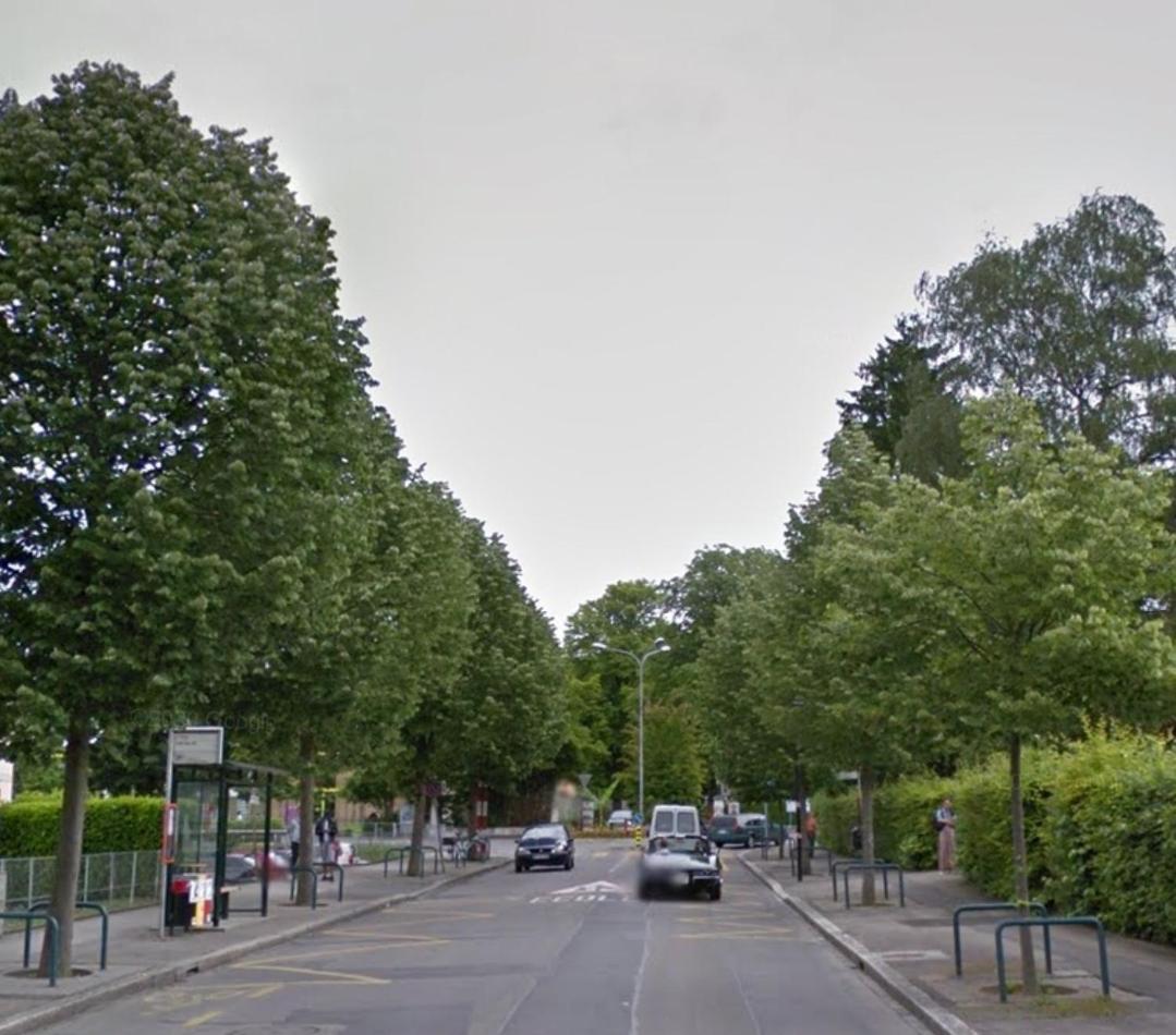 Petit bel air