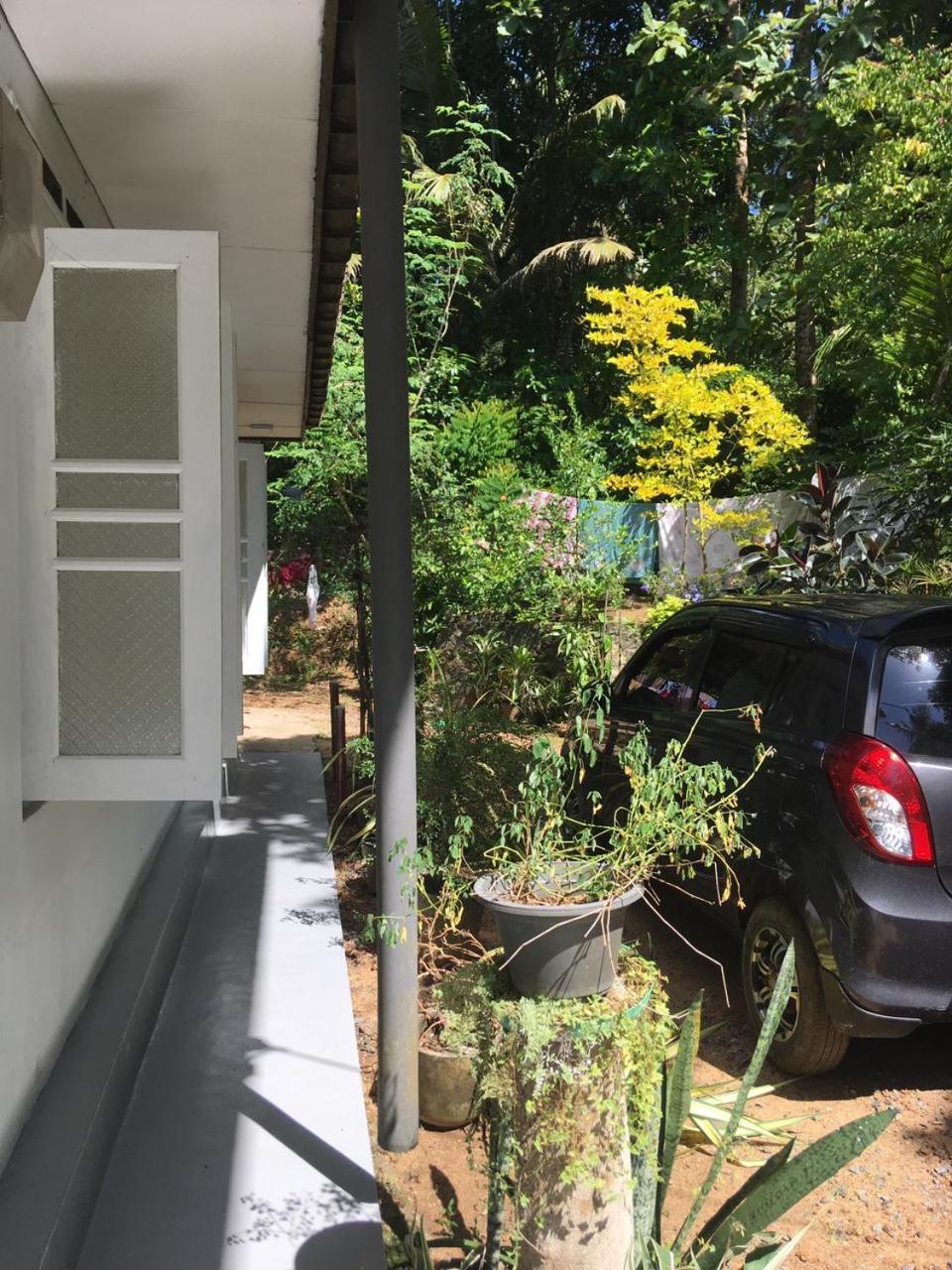 Nature Peace Villa view 5