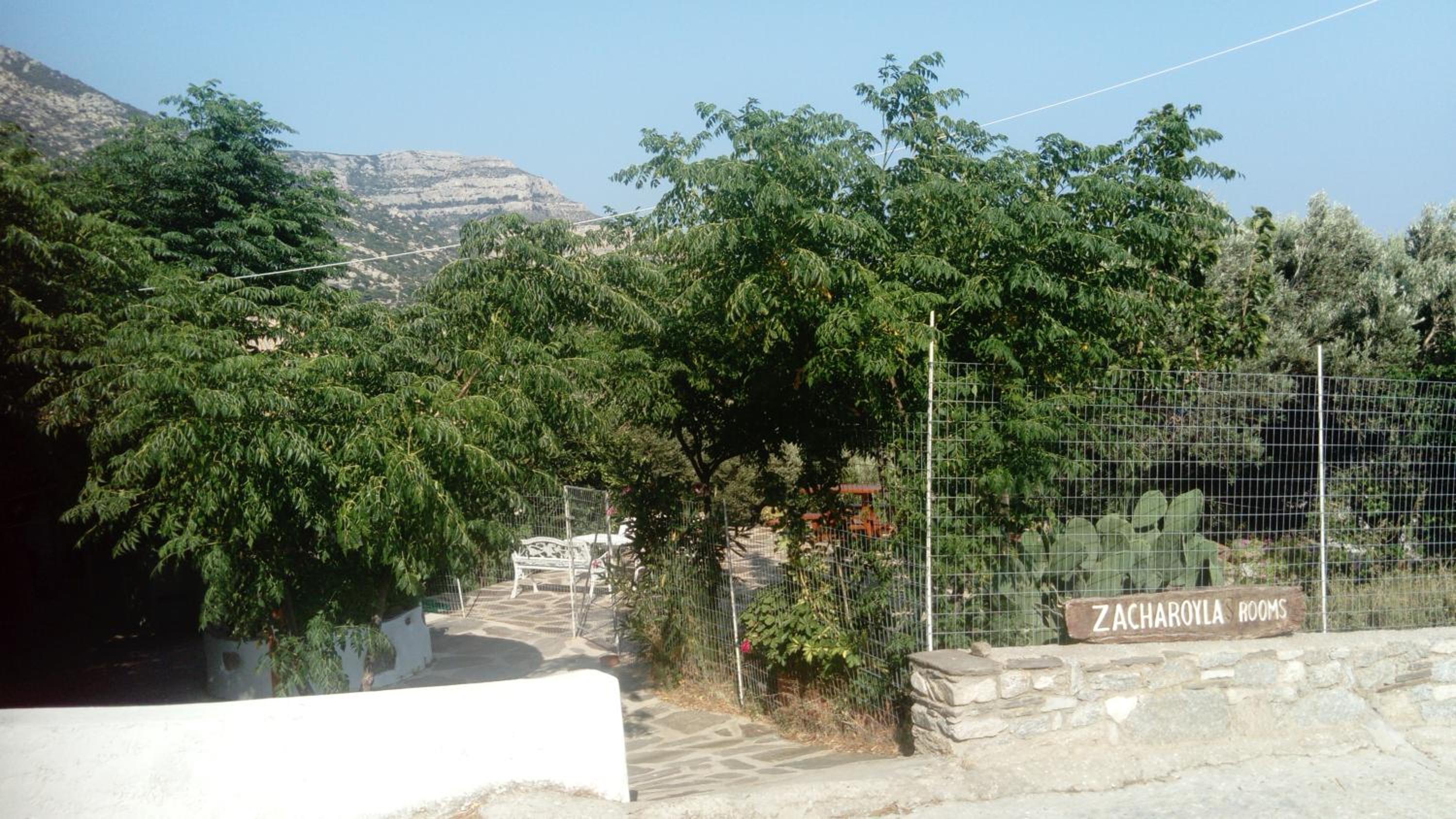 Photo 42