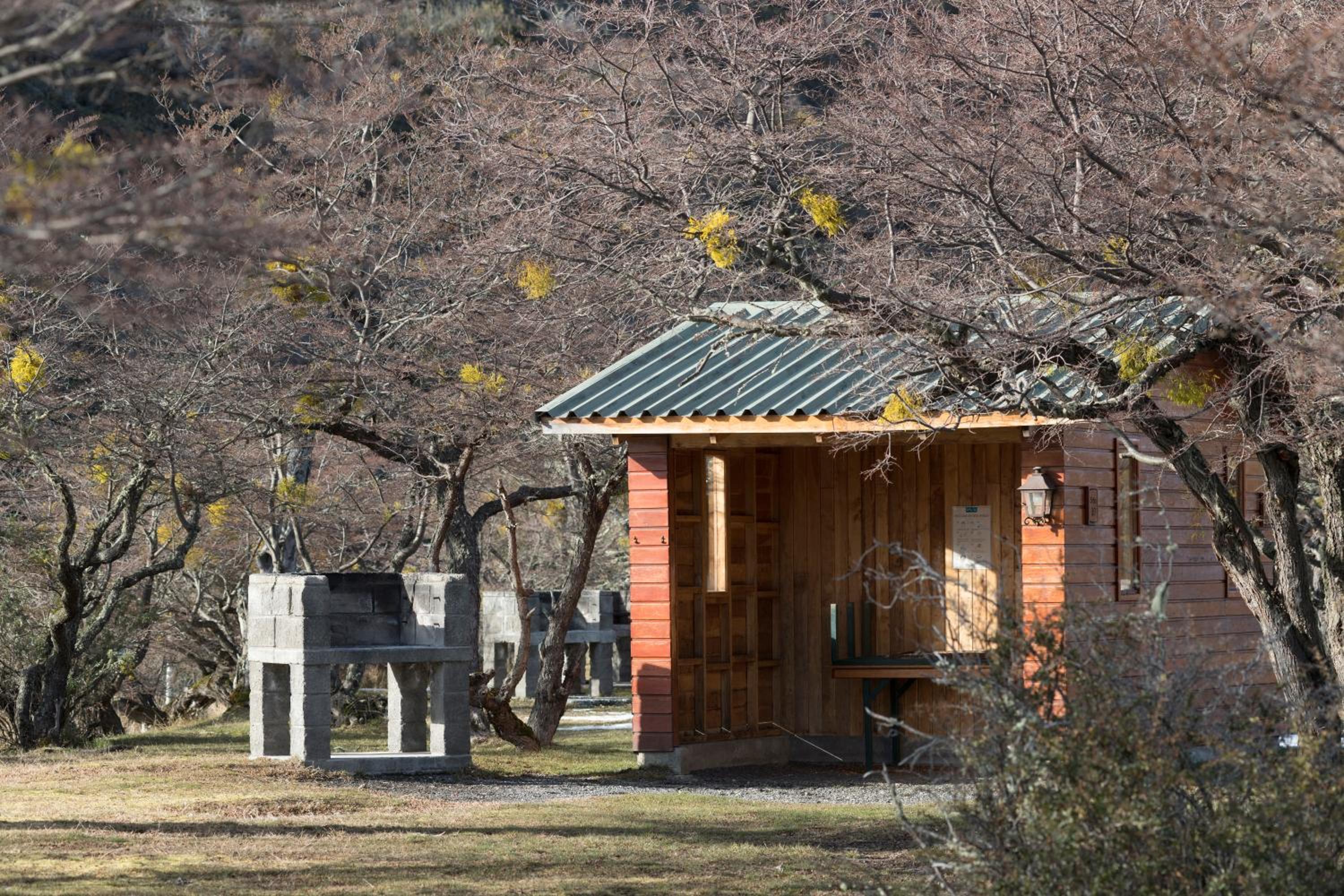 Camping Río Serrano - Caja Los Andes