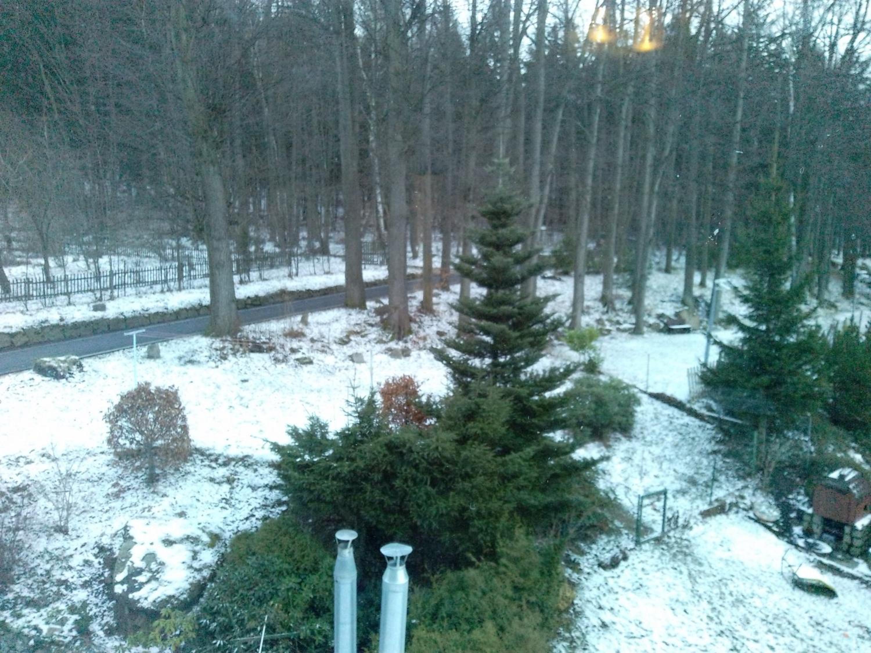 Photo 43