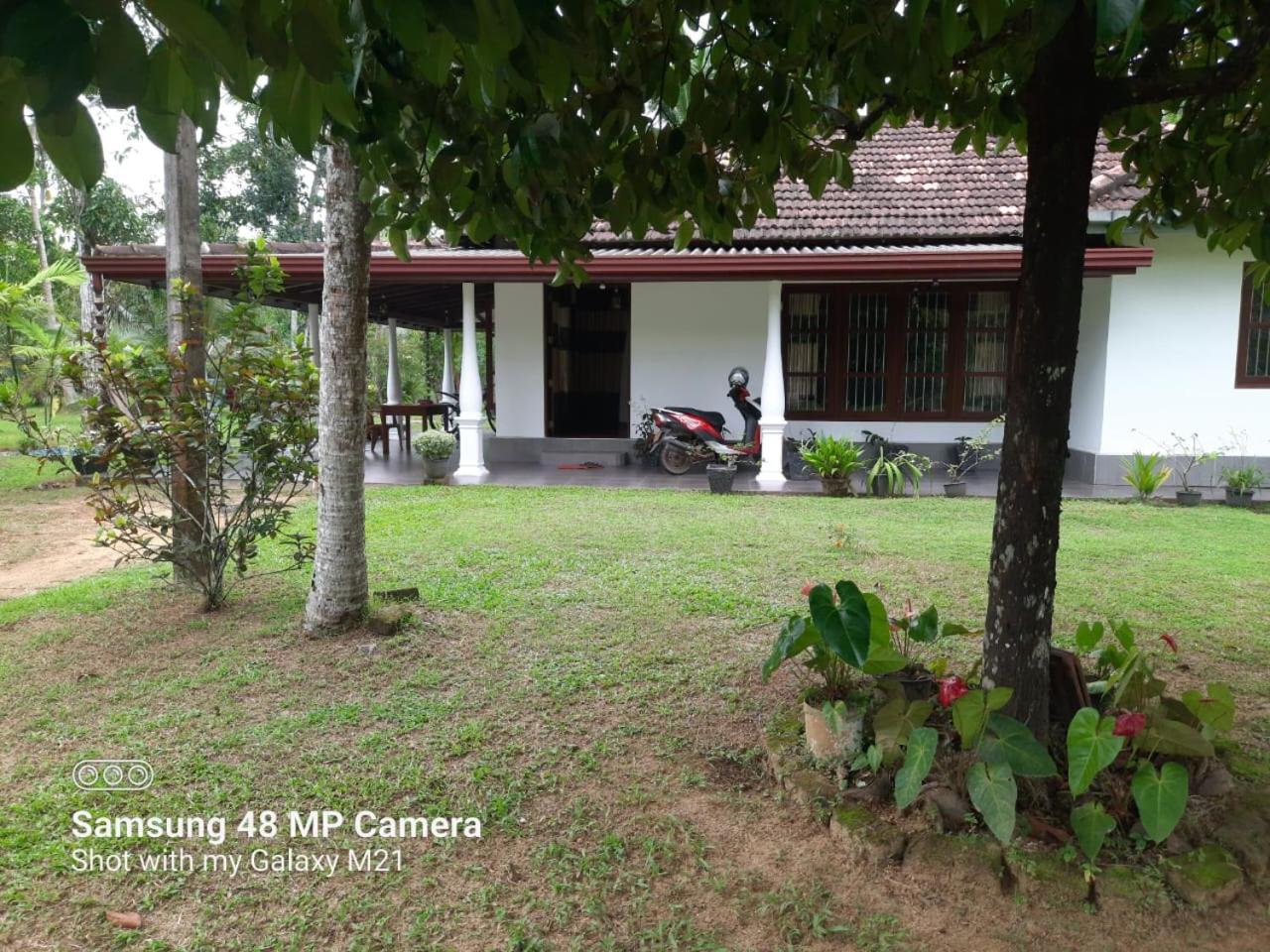 Villa Oasis view 3