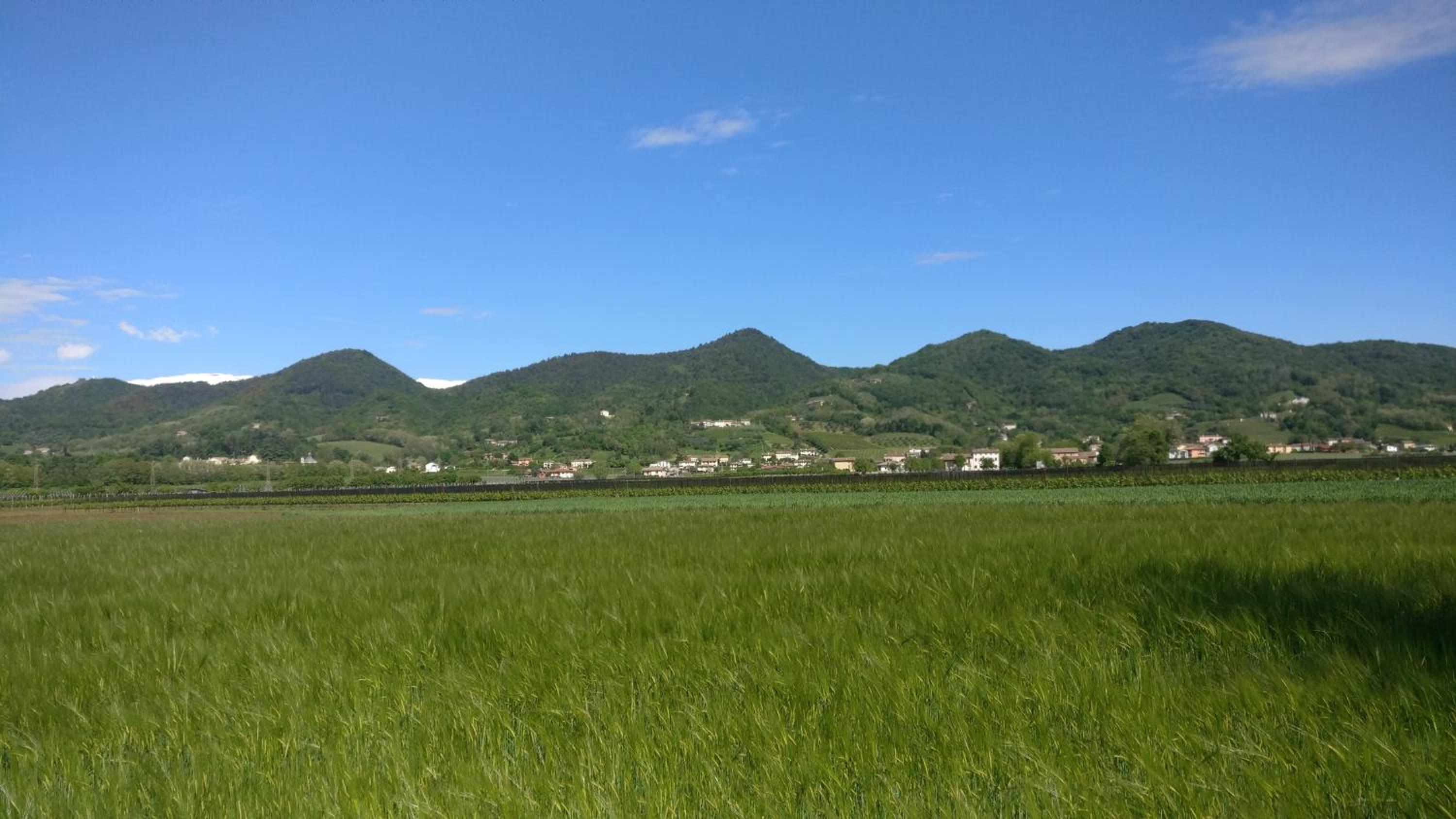 Oleaclub Locazione Turistica view 3