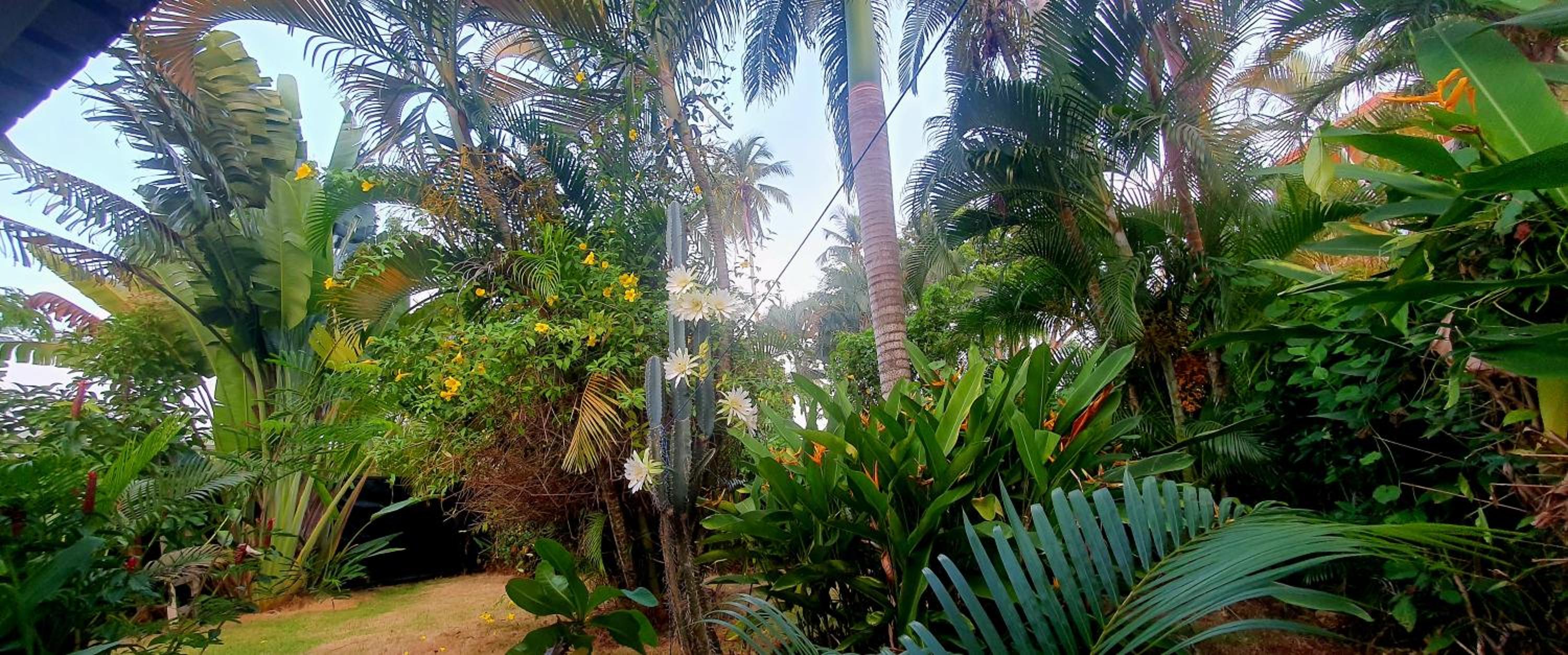 Villa Casa Mango