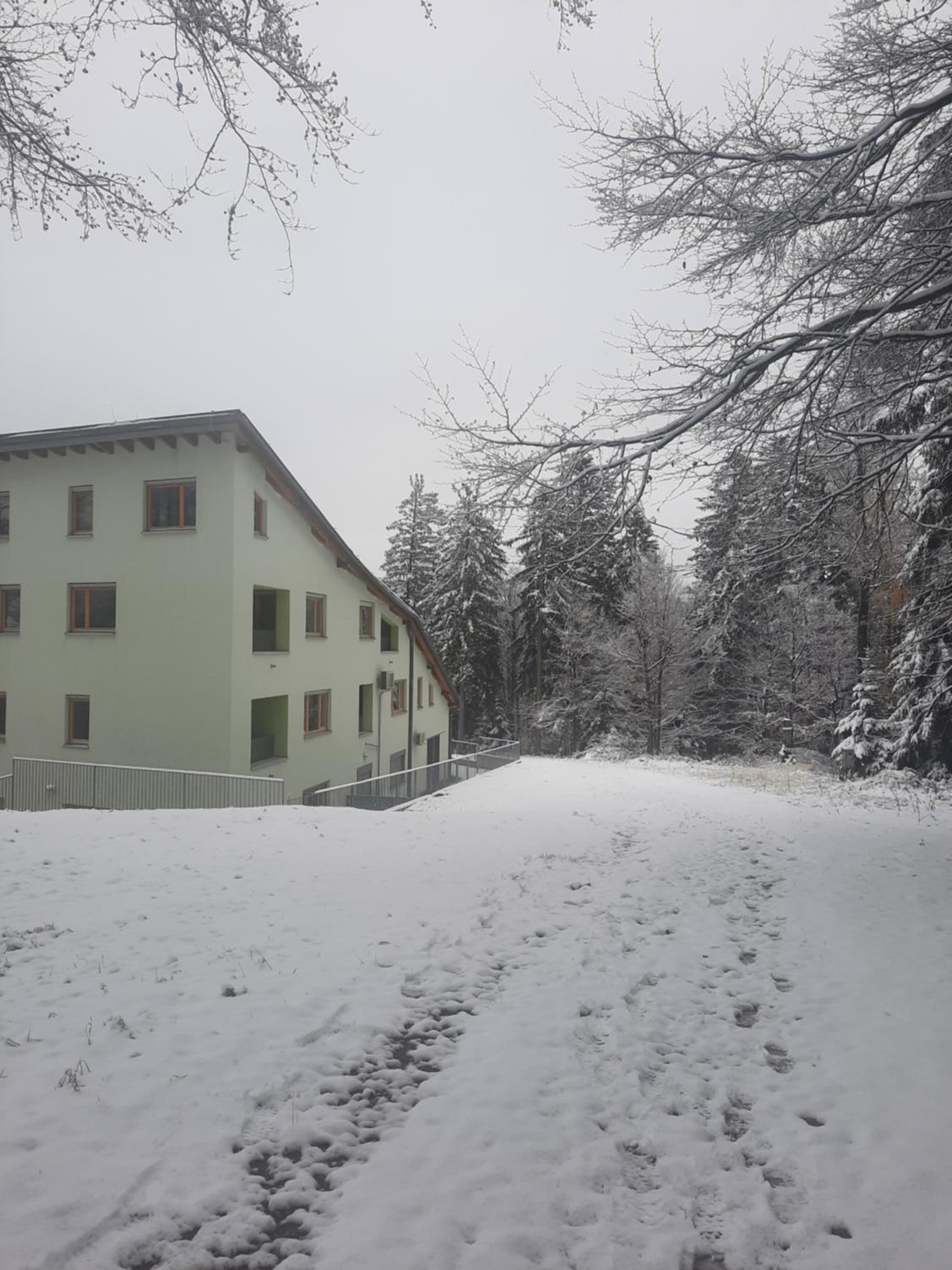 Apartment - Golden Fox 18 - Pohorske terase view 4