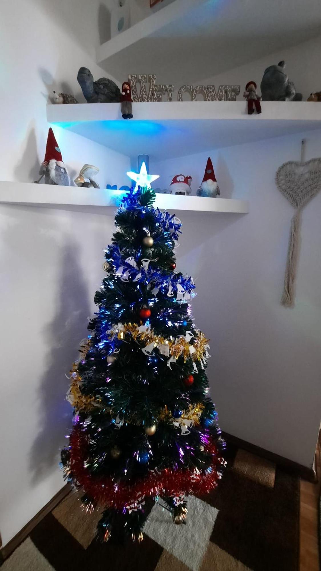 Bubu Apartament