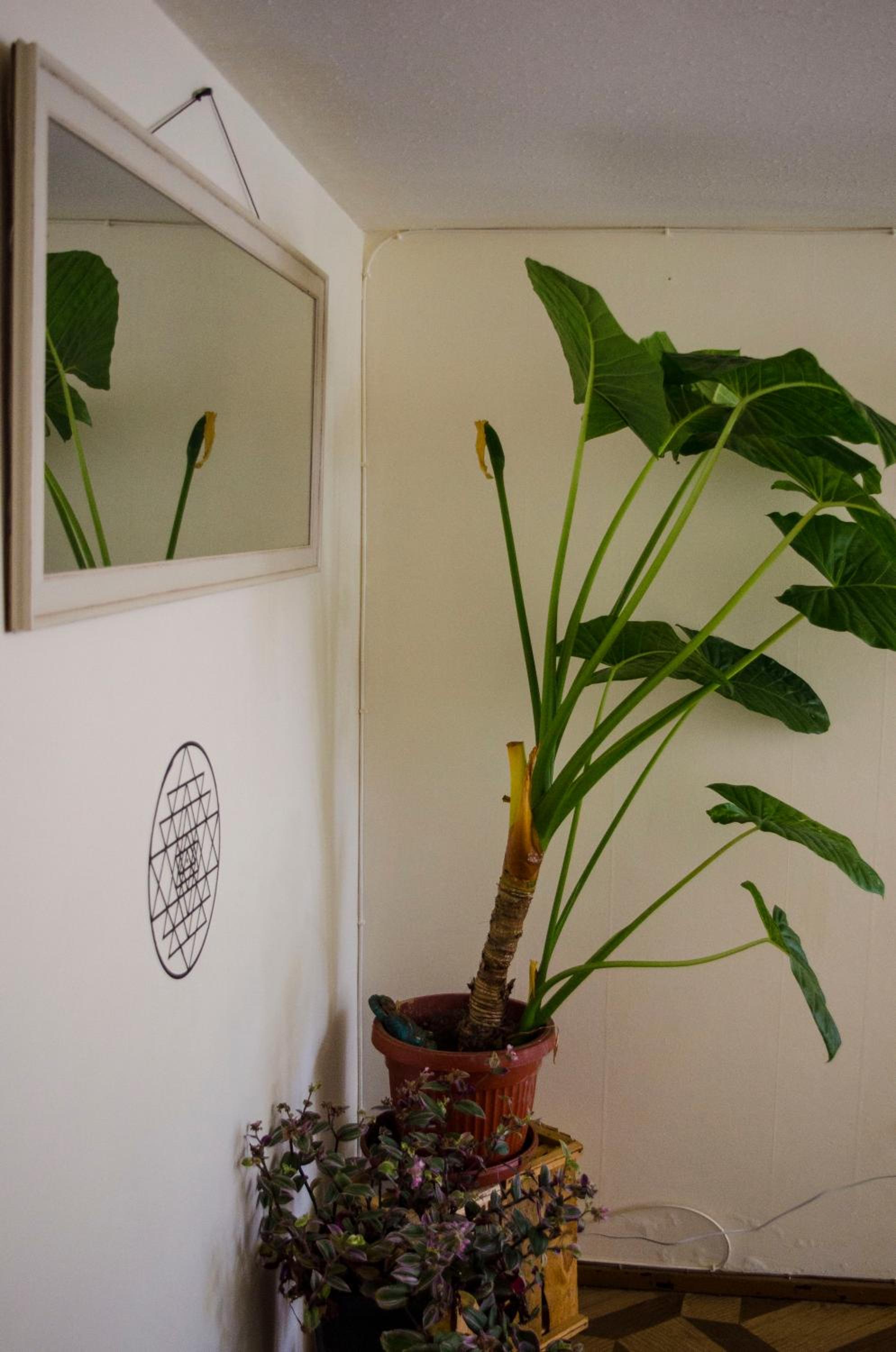 Habitación céntrica Valparadise
