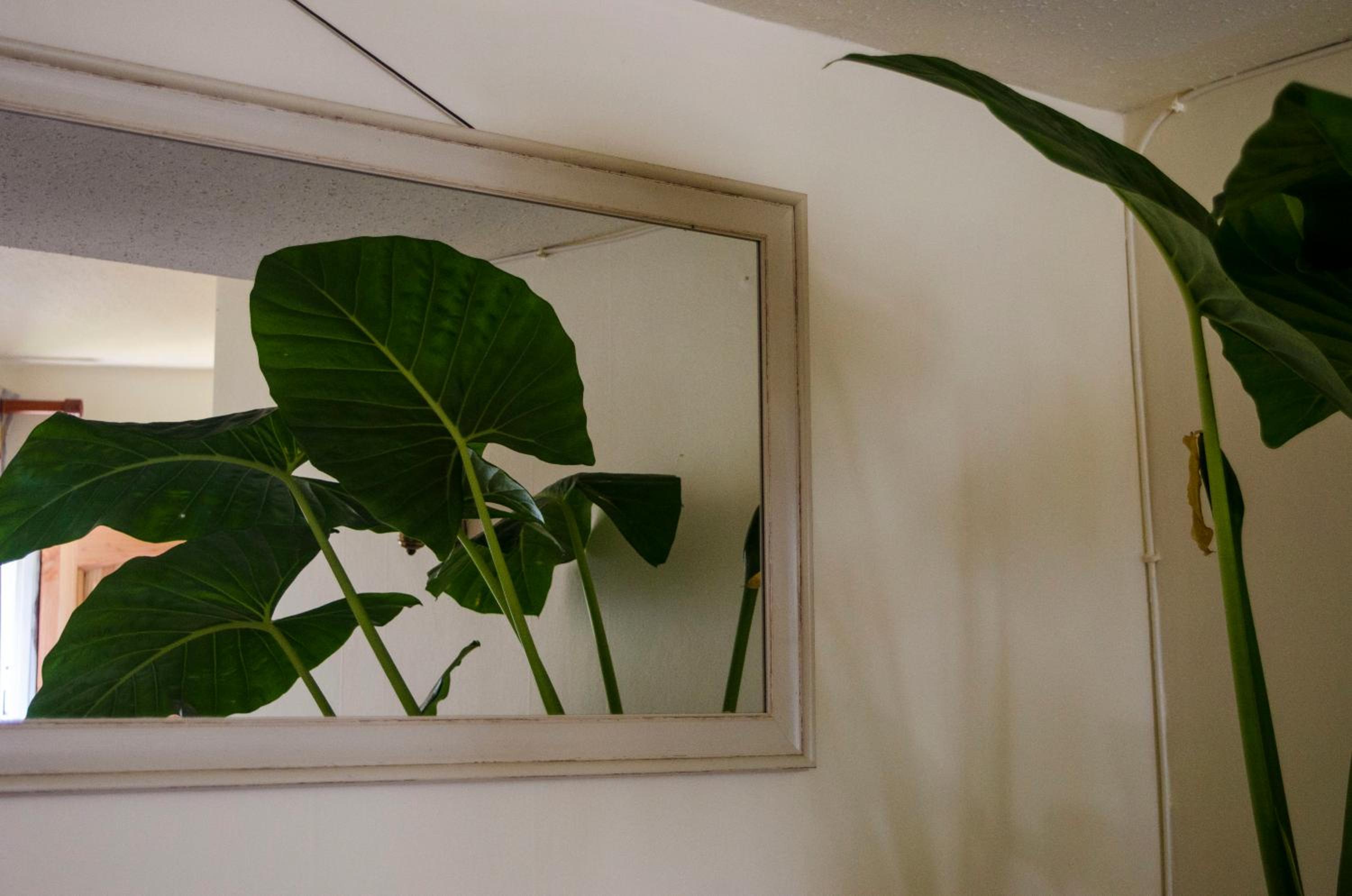 Habitación céntrica Valparadise