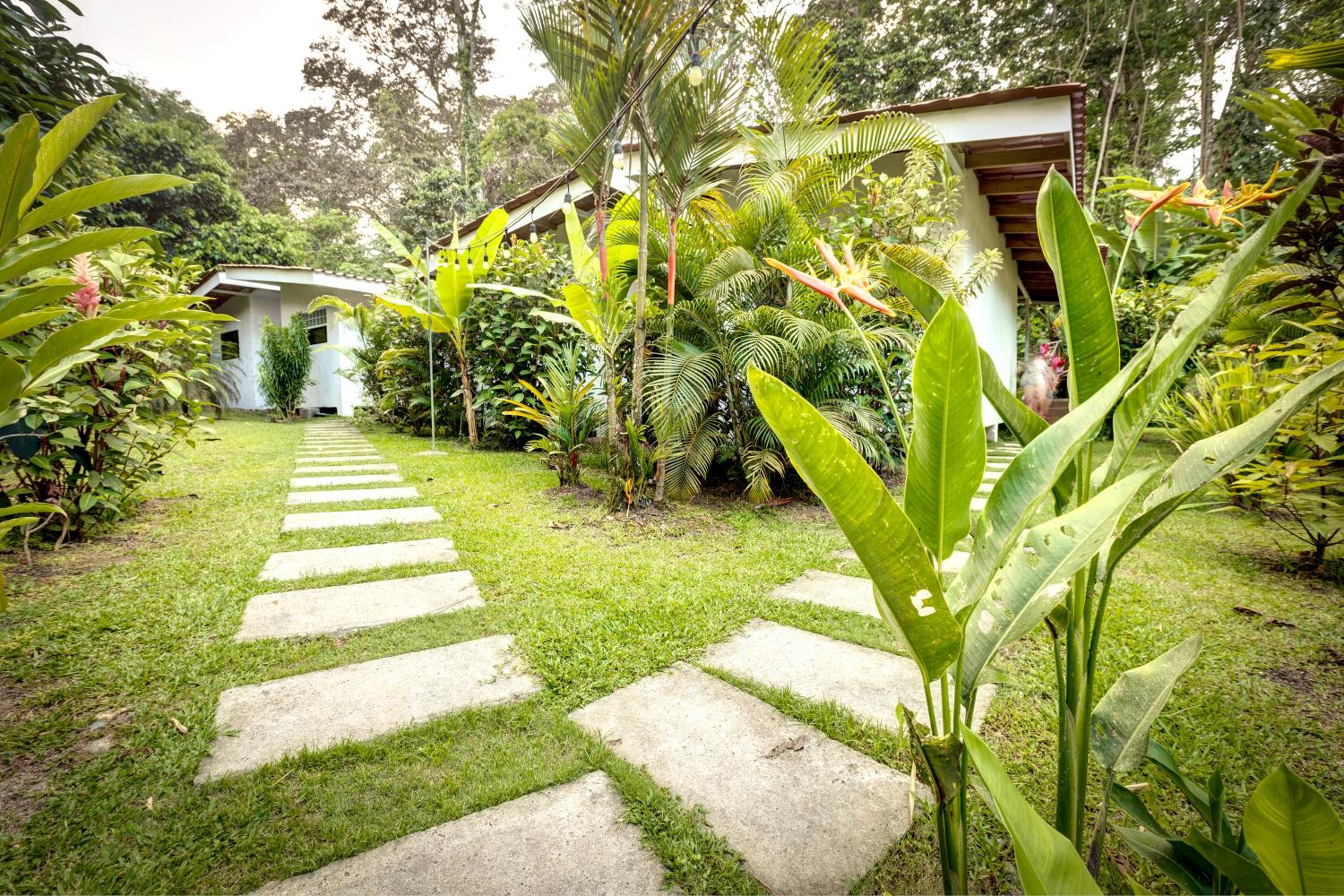 Villa Sirena en Anima Mundi