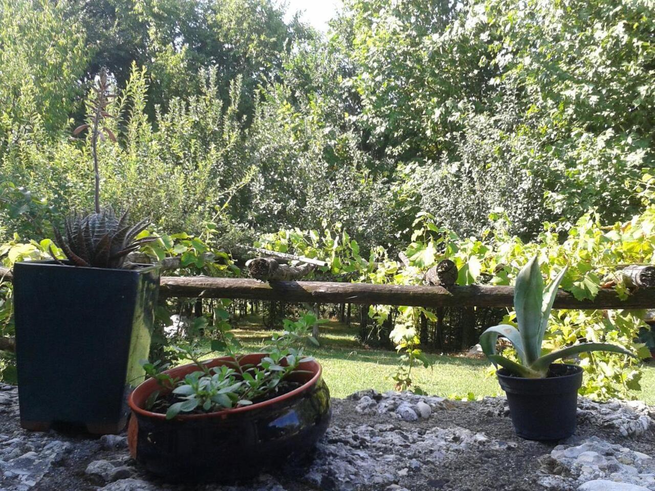 Photo 40
