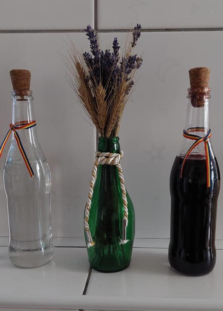Bubu Apartament