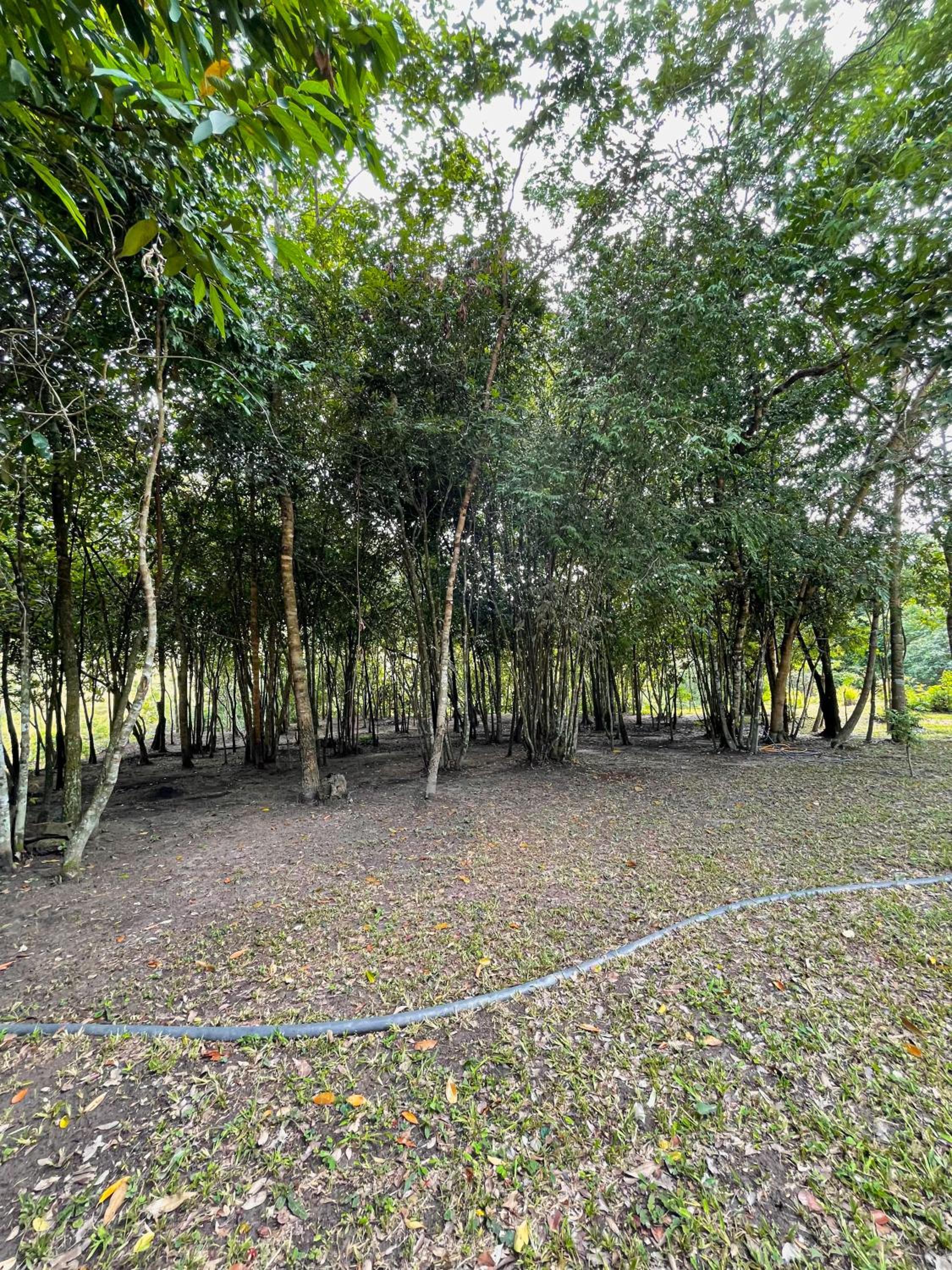 Recanto Dona Ana (chácara)