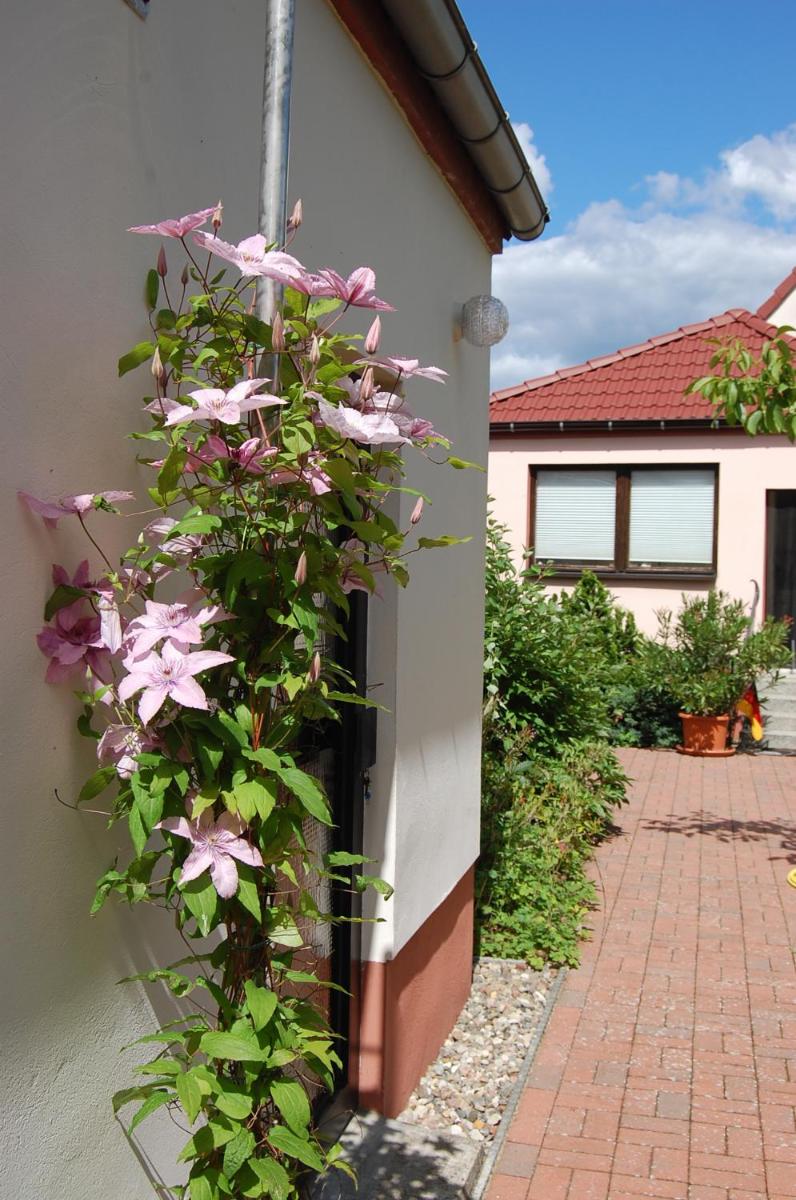 Ferienwohnung Peise