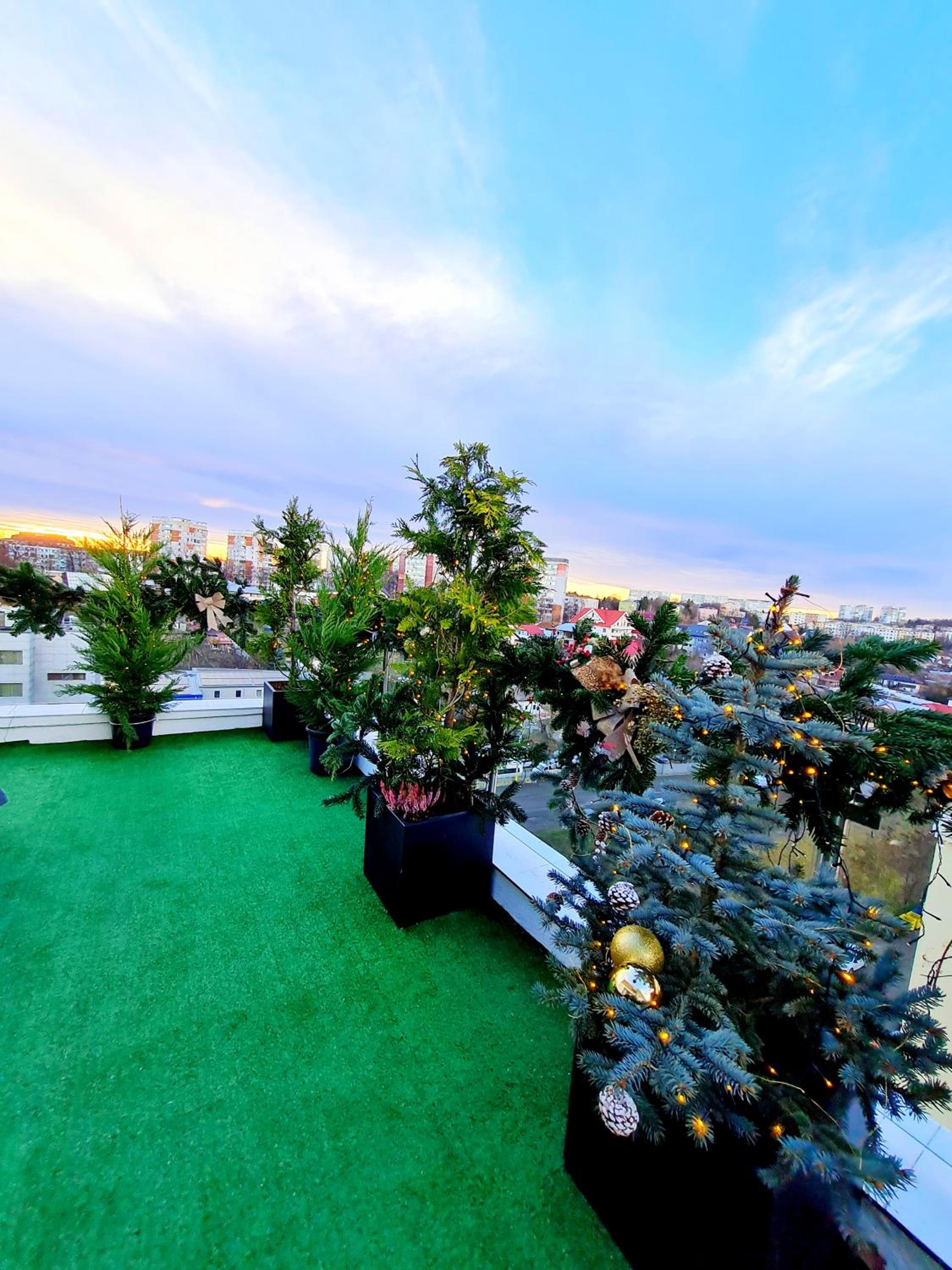 roof