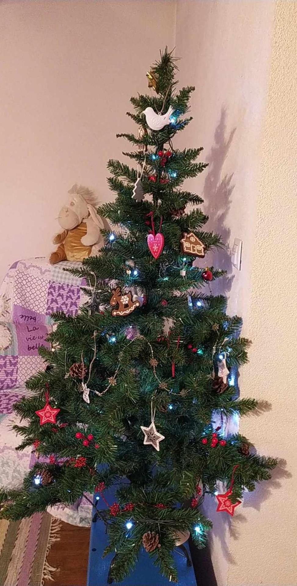 Photo 36